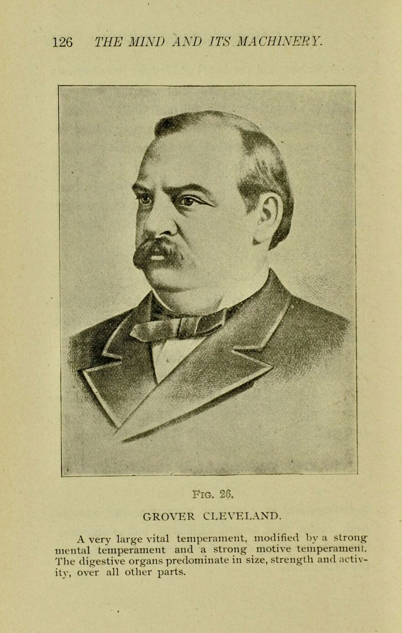 Fig. 26. grovp:r clevri.axd. A very large vital temperament, modified by a strong mental temperament and a strong motive temperament. 'I'he digestive organs predominate in size, strength and .ictiv- it\-, over all other parts.