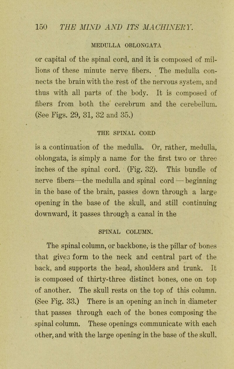 MEDULLA OBLONGATA or capital of the spinal cord, and it is composed of mil- lions of these minute nerve fibers. The medulla con- nects the brain with the rest of the nervous system, and thus with all parts of the body. It is composed of fibers from both the cerebrum and the cerebellum. (See Figs. 29, 31, 32 and 35.) THE SPINAL CORD is a continuation of the medulla. Or, rather, medulla, oblongata, is simply a name for the first two or three inches of the spinal cord. (Fig. 32). This bundle of nerve fibers—the medulla and spinal cord'— beginning- in the base of the brain, passes down through a large opening in the base of the skull, and still continuing- downward, it passes through a canal in the SPINAL COLUMN. The spinal column, or backbone, is the pillar of bones that gives form to the neck and central part of the back, and supports the head, shoulders and trunk. It is composed of thirty-three distinct bones, one on top of another. The skull rests on the top of this column. (See Fig. 33.) There is an opening an inch in diameter that passes through each of the bones composing the spinal column. These openings communicate with each other, and with the large opening in the base of the skull.