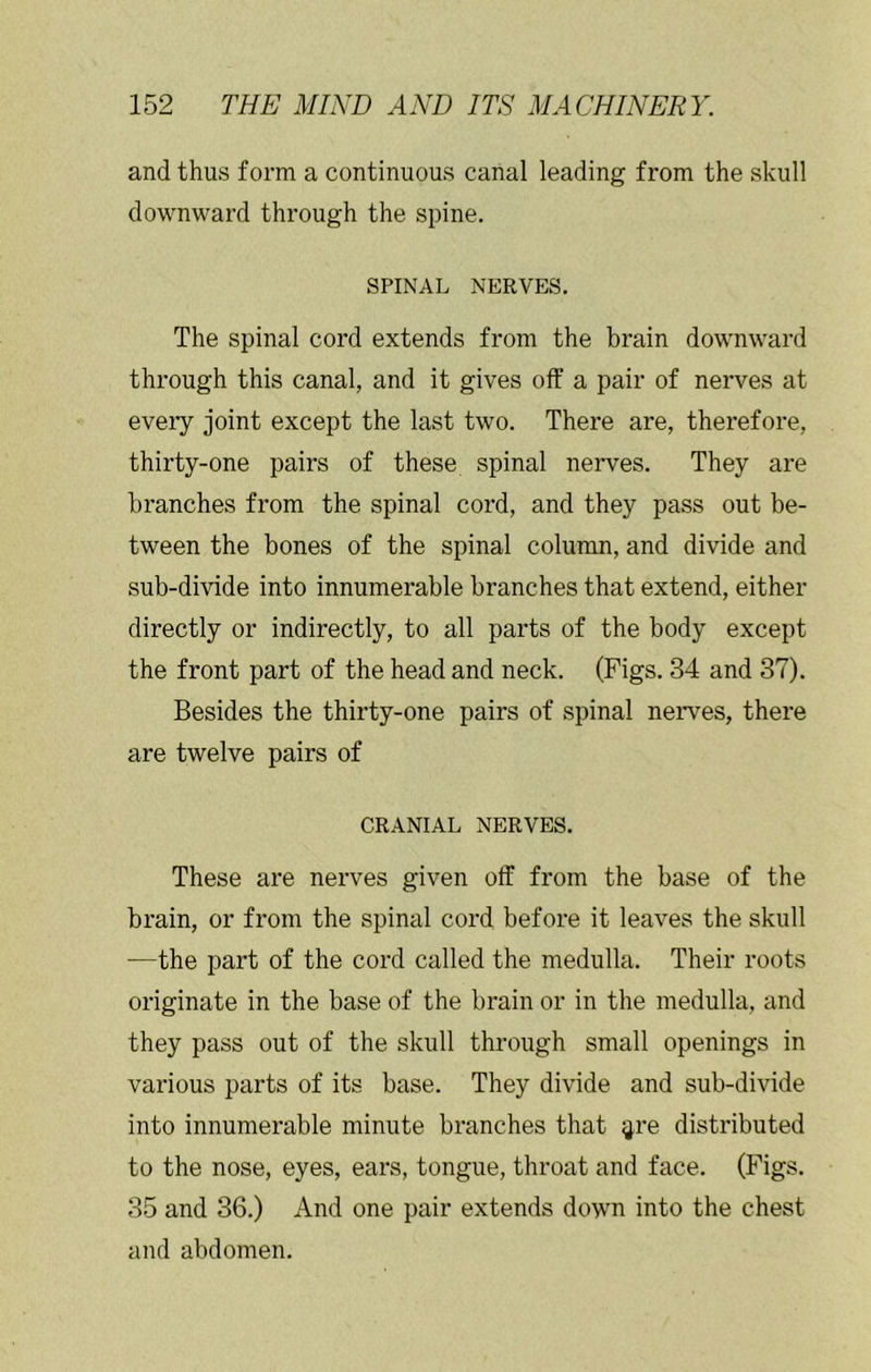 and thus form a continuous canal leading from the skull downward through the spine. SPINAL NERVES. The spinal cord extends from the brain downward through this canal, and it gives off a pair of nerves at eveiy joint except the last two. There are, therefore, thirty-one pairs of these spinal nerves. They are branches from the spinal cord, and they pass out be- tween the bones of the spinal column, and divide and sub-divide into innumerable branches that extend, either directly or indirectly, to all parts of the body except the front part of the head and neck. (Figs. 34 and 37). Besides the thirty-one pairs of spinal neiwes, there are twelve pairs of CRANIAL NERVES. These are nerves given off from the base of the brain, or from the spinal cord before it leaves the skull —the part of the cord called the medulla. Their roots originate in the base of the brain or in the medulla, and they pass out of the skull through small openings in various parts of its base. They divide and sub-divide into innumerable minute branches that ^re distributed to the nose, eyes, ears, tongue, throat and face. (Figs. 35 and 36.) And one pair extends down into the chest and abdomen.