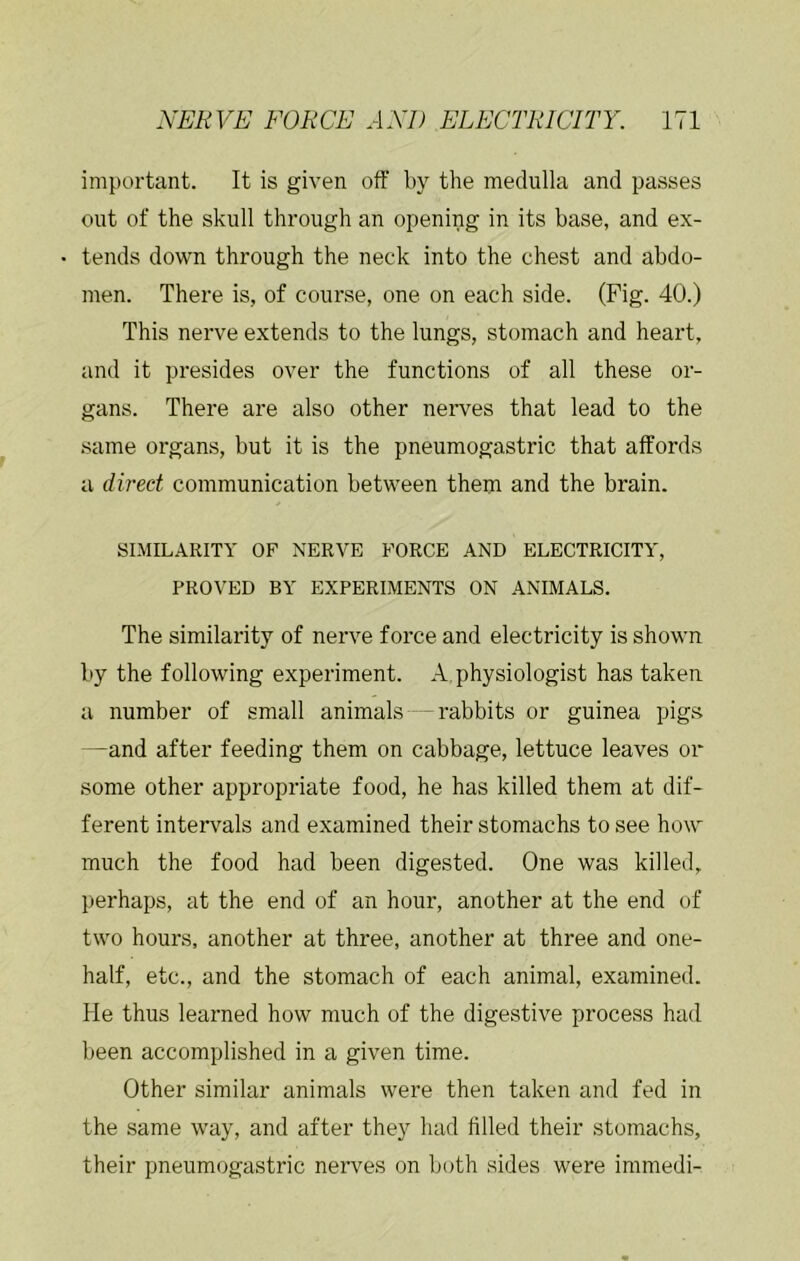 important. It is given off by the medulla and passes out of the skull through an opening in its base, and ex- tends down through the neck into the chest and abdo- men. There is, of course, one on each side. (Fig. 40.) This nerve extends to the lungs, stomach and heart, and it presides over the functions of all these or- gans. There are also other nerves that lead to the .same organs, but it is the pneumogastric that affords a direct communication between them and the brain. SIMILARITY OF NERVE FORCE AND ELECTRICITY, PROVED BY EXPERIMENTS ON ANIMALS. The similarity of nerve force and electricity is shown by the following experiment. A, physiologist has taken a number of small animals — rabbits or guinea pigs —and after feeding them on cabbage, lettuce leaves or some other appropriate food, he has killed them at dif- ferent intervals and examined their stomachs to see how much the food had been digested. One was killed, perhaps, at the end of an hour, another at the end of two hours, another at three, another at three and one- half, etc., and the stomach of each animal, examined. He thus learned how much of the digestive process had been accomplished in a given time. Other similar animals were then taken and fed in the same way, and after they had filled their stomachs, their pneumogastric nerves on both sides were immedi-