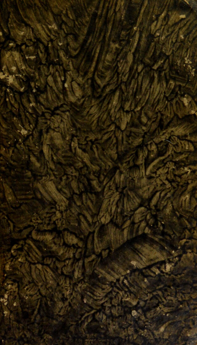 digitised image 1