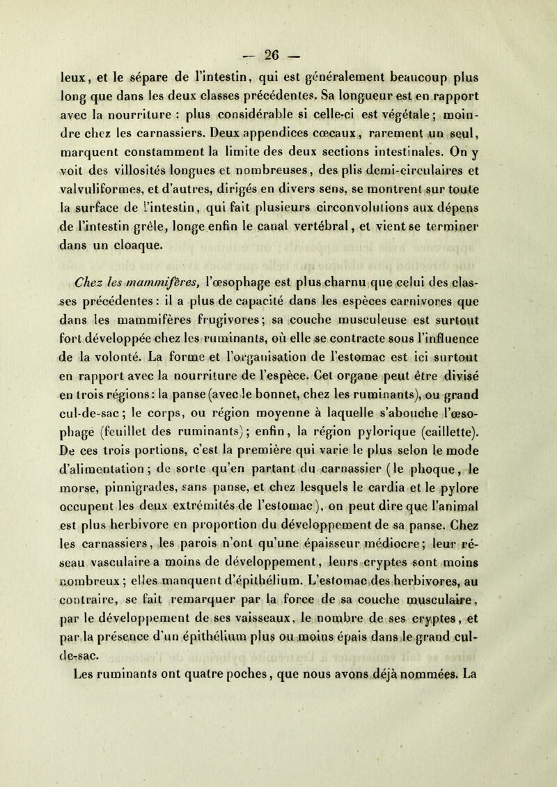 leux, et le sépare de l’intestin, qui est généralement beaucoup plus long que dans les deux classes précédentes. Sa longueur est en rapport avec la nourriture : plus considérable si celle-ci est végétale; moin- dre chez les carnassiers. Deux appendices cœcaux, rarement un seul, marquent constamment la limite des deux sections intestinales. On y voit des villosités longues et nombreuses, des plis demi-circulaires et valvuliformes, et d’autres, dirigés en divers sens, se montrent sur toute la surface de l’intestin, qui fait plusieurs circonvolutions aux dépens de l’intestin grêle, longe enfin le canal vertébral, et vient se terminer dans un cloaque. Chez les mammifères, l’œsophage est plus charnu que celui des clas- ses précédentes : il a plus de capacité dans les espèces carnivores que dans les mammifères frugivores; sa couche musculeuse est surtout fort développée chez les ruminants, où elle se contracte sous l’influence de la volonté. La forme et l’organisation de l’estomac est ici surtout en rapport avec la nourriture de l’espèce. Cet organe peut être divisé en trois régions : la panse (avec le bonnet, chez les ruminants), ou grand cul-de-sac; le corps, ou région moyenne à laquelle s’abouche l’œso- phage (feuillet des ruminants); enfin, la région pylorique (caillette). De ces trois portions, c’est la première qui varie le plus selon le mode d’alimentation; de sorte qu’en partant du carnassier (le phoque, le morse, pinnigrades, sans panse, et chez lesquels le cardia et le pylore occupent les deux extrémités de l’estomac), on peut dire que l’animal est plus herbivore en proportion du développement de sa panse. Chez les carnassiers, les parois n’ont qu’une épaisseur médiocre ; leur ré- seau vasculaire a moins de développement, leurs cryptes sont moins nombreux; elles manquent d’épithélium. L’estomac des herbivores, au contraire, se fait remarquer par la force de sa couche musculaire, par le développement de ses vaisseaux, le nombre de ses cryptes, et par la présence d'un épithélium plus ou moins épais dans le grand cul- de-sac. Les ruminants ont quatre poches, que nous avons déjà nommées. La