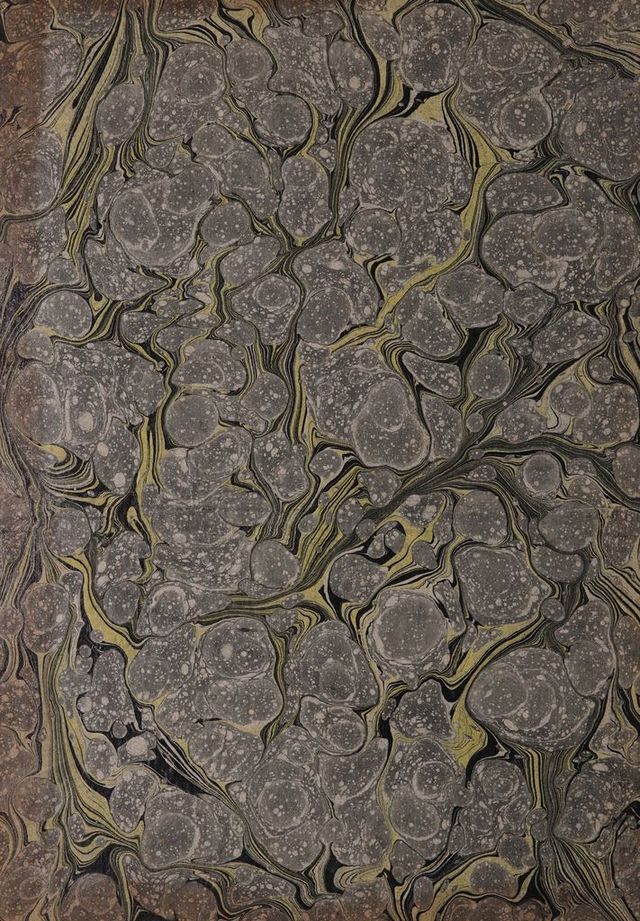 digitised image 2