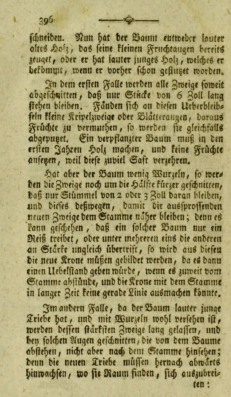fdjnetben. 9$utt ber Saum entmeHr loufer oltcS £>ot$ , ba$ feine Heinen gruchtougen bereite jeugef, ober er £at lauter fiingee J?ol,$, tocl^ee er befbmuU, menn er t>orf>er fcjjon gelinget morben* ^n bem erfien gatte merben ade grneige fomeit öbgefdjtiiften , ba§ nur ©tuefe Don 6 god laug fielen bleiben, gänben fleh an Hefen Ueberbleib# fein fleine SÜripeljroeiae ober Slatteraugen, baraue grüc&te Permuthen, fo merben fte gleichfalls cbgepu^et. (£m perpfianjter Saum mu£ in fcen erften fahren £olj machen, unb feine $rüc&te anfe$en, n>cil tiefe jupiel ©aft per^ren, fbat aber ber Saum rnentg QBurjeln, fo mer* ben bie grneige noch um bie^dfftefürjergefdmitten, bah nur Stummel Pon2 ober 3 goli baran bleiben, unb biefeS befimegen, bamit Die augfproflenben neuen grneige bem Stamme nabet bleiben; benn eg jfann gtfdjeben , ba§ ein folc^er Saum nur ein 5Hei§ treibet, ober unter mehreren citiS bie anberett an ©tdrfe ungleich ubertrift, fö mirb au$ biefea bie neue Ärone mft^en gebilbet merben, ba eö bann einen Uebeffianb geben mürbe, menn e$ jumeit Pont ©ramme abjrütibe, unb bie Grotte mit bem ©tamme in langer geit Feine gerabe Sinie auSmacben fonttte. ^maitbern $ade, ba ber Saum lauter junge Stiebe f>ctt, unb mit Ußurifln mobl Perfeben ifi, merben bejfen fiarffien grneige lang gefallen, unb bet) folgen Sfuqen gefdmitten, bie Pon bem Saume abfieben, nicht aber nachdem ©tamme ^tnfe&en; benn bie neuen Srie6e müften b<rna<h abmdrtS bin»a#n, wo fu Diauttt finben, fich auäjubteU ten: