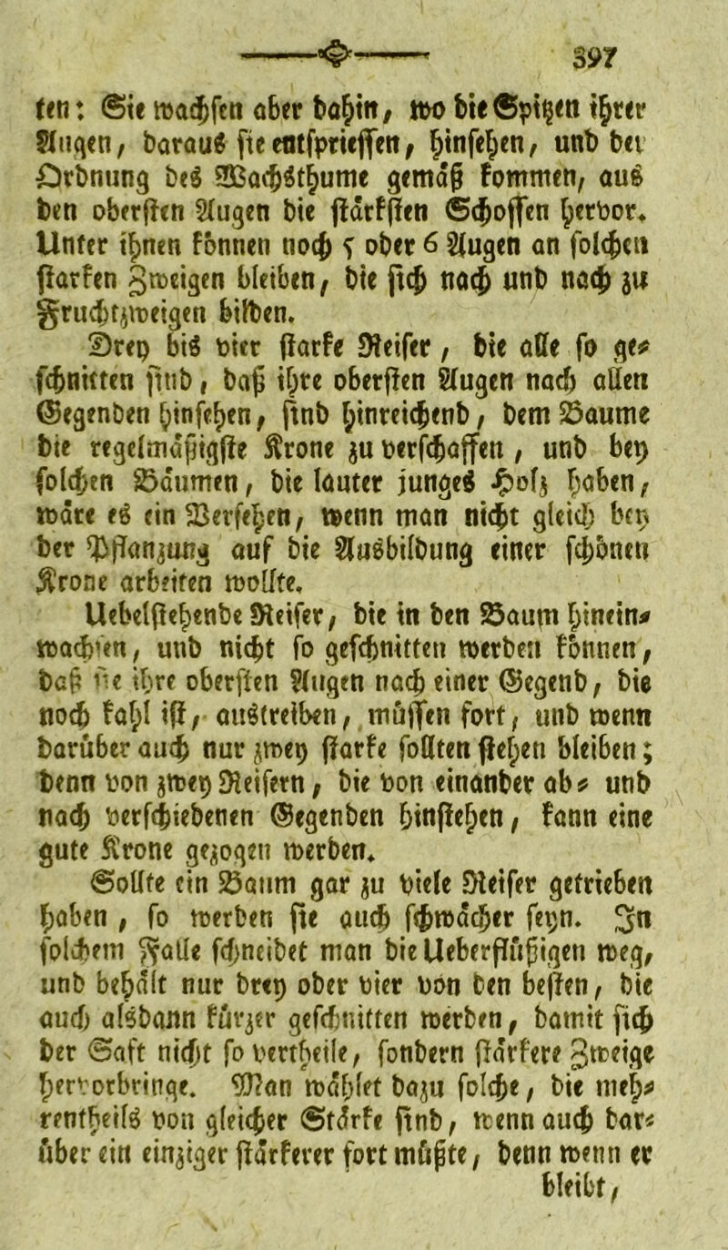$97 ten: (Sie mad^fcn aber boj^ttt / wo bie©ptpen ihrer $fugen, barau« jteemfptieflfett, fjtnfefjen, unb bei örbnung be$ 2ßa#$thume gemäß fommeti, au$ ben oberffen 2(ugen bie flärfjfen (Stoffen h«rbor. Unter #nen fonnen tio4> f ober 6 tilgen an folgen ffarfen gweigen bleiben, bie ft# na# unb na# ju gru#t$weigen bilben. Step bis hier ffarfe Steifer, bie affe fo ge# fdjnitten fttib, baß #te oberffen Sfugen na# affeti ©egenben hinfehen, ftnb l;inrei#enb, bem Saume bie regelmäßig^ ftrone $u oerf#affen, unb bep fol#en Säumen, bie lauter junges Jpol$ haben, märe eS ein Seilten, wenn man ni#t glei# bep ber ^ipan^ung auf bie 2(uSbiIbung einer fronen $rone arbeiten wollte. Uebel(ief)enbe Steifer/ bie in ben Saum hinein# wa#’en, unb ni#t fo gef#nitten werben fonnen/ bah iie ihre oberffen ?lugen na# einer ©egenb, bie no# fal;l iff, auStreiben, möjfen fort/ unb wenn barüber au# nur jwep ffarfe fofften flehen bleiben; benn oon gwep Steifem, bie bon einanber ab# unb na# *oerf#iebenen ©egenben htnflef)en, fann eine gute Sl'rone gezogen werben* @oUte ein Saum gar ju biele Steifer getrieben haben , fo werben fte au# f#wäcber fepn. $n fol#em Stalle f#ncibet man bie Ueberffößigen pjeg, unb behält nur brep ober hier non ben beffen, bie au# aisbann fürjer gefebnitten werben, bamttft# ber ©aft ni#t fo oertbetle, fonbern fiarfere gtteige f;errotbringe. ‘SOtan wählet baju fol#e, bie mef;# rentbeilS non g(ei#er ©tärfe jtnb, wenn au# bar« über ein einziger jfärfever fort müßte, benn wenn er bleibt.
