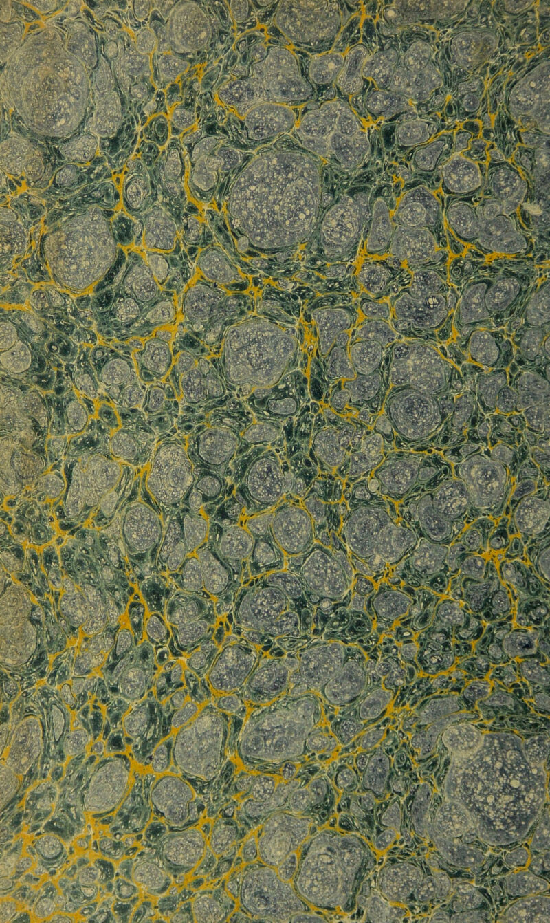 •^r '^' >^S» S€«^