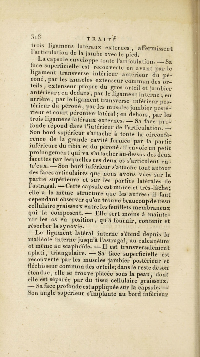 :> 10 trait e ligamens latéraux externes , affermissent 1 articulation de fa jambe avec le pied. La capsule enveloppe (oute l’arliculation. — Sa lace superficielle est recouverte en avant par le ligament transverse inférieur antérieur du pé- roné, par les muscles extenseur commun des or- teils, extenseur propre du gros orteil et jambier anterieur; en dedans, par le ligament interne ; en arrière, par le ligament transverse inférieur pos- téiieui du péroné, parles muscles jambier posté- rieur et court péronien latéral ; en dehors, par les trois ligamens latéraux externes. — Sa face pro- fonde îépond dans 1 intérieur de l’articulation. —— Son bord supérieur s’attache à toute la circonfé- rence de la grande cavité formée par la partie inférieure du tibia et du péroné: il envoie un petit piolongement qui va s’attacher au-dessus des deux facettes par lesquelles ces deux os s’articulent en- ti eux. Son bord inferieur s’attache tout autour îles faces articulaires que nous avons vues sur la partie supérieure et sur les parties latérales de ] asti agal. Cette capsule est mince et très-lâche ; elle a la même structure que les autres: il faut cependant observer qu’on trouve beaucoup de tissu cellulaire graisseux entre les feuillets membraneux qui la composent. — Elle sert moins à mainte- nir les os en position, qu à fournir, contenir et résorber la synovie. Le ligament latéral interne s’étend depuis la malléole interne jusqu’à l’astragal, au calcanéum et même au scaphoïde. — Il est transversalement aplati, triangulaire. — Sa face superficielle est recouverte par les muscles jambier postérieur et fléchisseur commun des orteils; dans le reste deson étendue, elle se trouve placée sous la peau, dont elle est séparée par du tissu cellulaire graisseux. — Sa face profonde est appliquée sur la capsule. — 8on angle supérieur s’implante au bord inférieur