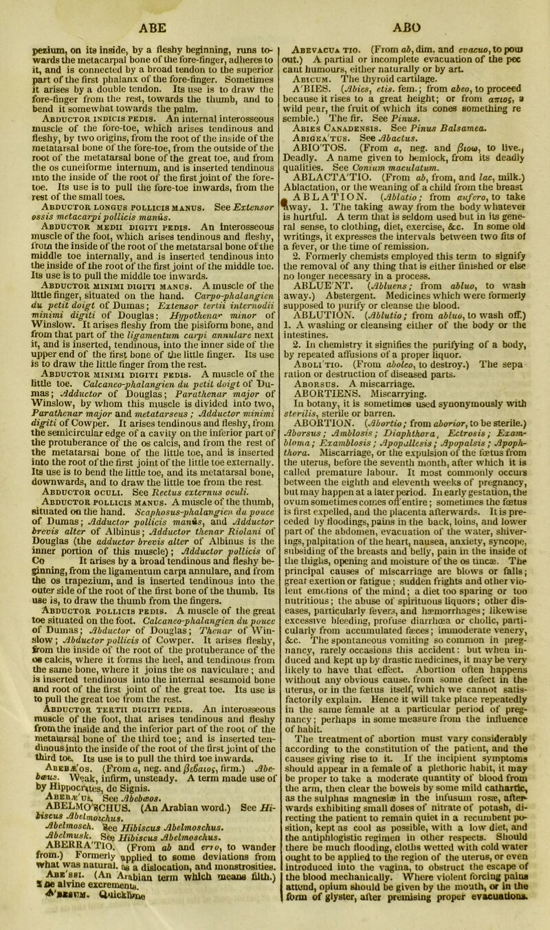 ABE ABO pezium, on its inside, by a fleshy beginning, runs to- wards the metacarpal bone of the lore-finger, adheres to it, and is connected by a broad tendon to the superior part of the first phalanx of the fore-finger. Sometimes it arises by a double tendon. Its use is to draw the fore-finger from the rest, towards the thumb, and to bend it somewhat towards the palm. Abductor indicis pedis. An internal interosseous muscle of the fore-toe, which arises tendinous and fleshy, by two origins, from the root of the inside of the metatarsal bone of the fore-toe, from the outside of the root of the metatarsal bone of the great toe, aud from the os cuneiforme internum, and is inserted tendinous into the inside of the root of the first joint of the lore- toe. Its use is to pull the fore-toe inwards, from the rest of the small toes. Abductor longus pollicis manus. See Extensor ossis metacarpi poilicis manus. Abductor medii digiti pedis. An interosseous muscle of the foot, which arises tendinous and fleshy, from the inside of the root of the metatarsal bone of the middle toe internally, and is inserted tendinous into the inside of the root of the first joint of the middle toe. Its use is to pull the middle toe inwards. Abductor minimi digiti manus. A muscle of the little finger, situated on the hand. Carpo-phalangicn du petit doigt of Dumas; Extensor tertii intemodii minimi digiti of Douglas: Hypothenar minor of Winslow. It arises fleshy from the pisiform bone, and from that part of the ligamentum carpi annulare next it, and is inserted, tendinous, into the inner side of the upper end of the first bone of the little finger. Its use is to draw the little finger from the rest. Abductor minimi digiti pedis. A muscle of the little toe. Calcaneo-phalangien du petit doigt of Du- mas; Adductor of Douglas; Parathcnar major of Winslow, by whom this muscle is divided into two, Parathcnar major and metatarseus ; Adductor minimi digiti of Cowper. It arises tendinous and fleshy, from the semicircular edge of a cavity on the inferior part of the protuberance of the os calcis, and from the rest of the metatarsal bone of the little toe, and is inserted into the root of the first joint of the little toe externally. Its use is to bend the little toe, and its metatarsal bone, downwards, and to draw the little toe from the rest Abductor oculi. See Rectus extemus oculi. Abductor pollicis manus. A muscle of the thumb, situated on the hand. Scaphosus-phalangiev du pouce of Dumas; Adductor poilicis manus, and Adductor hrevis alter of Albinus; Adductor thenar Riolani of Douglas (the adductor brevis alter of Albinus is the inner portion of this muscle); Adductor pollicis of Co It arises by a broad tendinous and fleshy be- ginning, from the ligamentum carpi annulare, and from the os trapezium, and is inserted tendinous into the outer side of the root of the first bone of the thumb. Its use is, to draw the thumb from the fingers. Abductor pollicis pedis. A muscle of the great toe situated on the foot. Calcaneo-phalangien du poucc of Dumas; Abductor of Douglas; Thenar of Win- slow; Abductor pollicis of Cowper. It arises fleshy, from the inside of the root of the protuberance of the os calcis, where it forms the heel, and tendinous from the same bone, where it joins the os naviculare; and is inserted tendinous into the internal sesamoid bone and root of the first joint of the great toe. Its use is to pull the great toe from the rest. Abductor tertii digiti pedis. An interosseous muscle of the foot, that arises tendinous and fleshy from the inside and the inferior part of the root of the metatarsal bone of the third toe; and is inserted ten- dinous into the inside of the root of the first joint of the third toe. Its use is to pull the third toe inwards. Abeba'os. (From u, neg. and (itSaios, firm.) Abe- baus. Weak, infirm, unsteady. A term made use of by Hippocrues, do Signis. ut- See Abebasos. ABELMO'BCHUS. (An Arabian word.) See Hi- biscus Abelmo»chus. Abclmosch. gee Hibiscus Abelmoschus. Abelmosk. , <$(£ Jfiljiscus Abelmoschus. ABERRA'TIO. (From ab aud cno, to wander from.) Formerly applied to some deviations from what was natural. ;w a dislocation, and monstrosities. Abe ssi. (An Arabian term which means filth.) X fle alvrne excrements ■A'eesum. Quicklime Abevacua tio. (From ab, dim. and evacuo, to pouj out.) A partial or incomplete evacuation of the pec cant humours, either naturally or by art. Abicum. The thyroid cartilage. A'BIES. {Abies, etis. fem.; from abeo, to proceed because it rises to a great height; or from aittos, a wild pear, the fruit of which its cones something re sernble.) The fir. See Pinus. Abies Canadensis. See Pinus Balsamea. Abigka'tus. See Abactus. ABIO'TOS. (From a, neg. and /Jioai, to live., Deadly. A name given to hemlock, from its deadly qualities. See Conium maculatum. ABLACTA'TIO. (From ab, from, and lac, milk.) Ablactation, or the weaning of a child from the breast _ ABLATION. {Ablatio; from aufero, to take way. 1. The taking away from the body whatever is hurtful. A term that is seldom used but in its gene- ral sense, to clothing, diet, exercise, &c. In some old writings, it expresses the intervals between two fits o! a fever, or the tune of remission. 2. Formerly chemists employed this term to signify the removal of any thing that is either finished or else no longer necessary in a process. ABLUE NT. {Ablucns; from abluo, to wash away.) Abstergent. Medicines which were formerly supposed to purify or cleanse the blood. ABLUTION. {Ablutio; from abluo, to wash off.) 1. A washing or cleansing either of the body or the intestines. 2. In chemistry it signifies the purifying of a body, by repeated allusions of a proper liquor. Aboli tio. (From aboleo, to destroy.) The sepa ration or destruction of diseased parts. Aborscs. A miscarriage. ABORTIENS. Miscarrying. In botany, it is sometimes used synonymously with sterilis, sterile or barren. ABORTION. {Abortio; from aborior, to be sterile.) Aborsus; Amblosis; Diaphlhora, Ectrosis; Exam- bloma; Examblosis; Apopallcsis ; Apopalsis; Jlpoph- tliora. Miscarriage, or the expulsion of the foetus from the uterus, before the seventh month, after which it is called premature labour. It most commonly occurs between the eighth and eleventh weeks of pregnancy, but may happen at a later period. In early gestation, the ovum sometimes comes off entire; sometimes the foetus is first expelled, and the placenta afterwards. It is pre- ceded by floodings, pains in the back, loins, and lower part of the abdomen, evacuation of the water, shiver- iugs, palpitation of the heart, nausea, anxiety, syncope, subsiding of the breasts and belly, pain in the inside ot the thighs, opening and moisture of the os tinea:. The principal causes of miscarriage are blows or falls; great exertion or fatigue; sudden frights and other vio- lent emotions of the mind; a diet too sparing or too nutritious; the abuse of spirituous liquors; other dis- eases, particularly fevers, and hemorrhages; likewise excessive bleeding, profuse diarrhcea or cholic, parti- cularly from accumulated freces; inunoderate venery, &.c. The spontaneous vomiting so common in preg- nancy, rarely occasions this accident: but when in- duced and kept up by drastic medicines, it may be very likely to have that effect. Abortion often happens without any obvious cause, from some defect in the uterus, or in the foetus itself, which we cannot satis- factorily explain. Hence it will take place repeatedly in Die same female at a particular period of preg- nancy ; perhaps in some measure from the influence of habit. The treatment of abortion must vary considerably according to the constitution of the patient, and the causes giving rise to it. If the incipient symptoms should appear in a female of a plethoric habit, it may be proper to take a moderate quantity of blood from the arm, then dear tile bowels by some mild cathartic, as the sulphas magnesite in the infusum rosie, after- wards exhibiting small doses of nitrate of potash, di- recting the patient to remain quiet in a recumbent po- sition, kept as cool as possible, with a low diet, and the antiphlogistic regimen in other respects. Should there be much flooding, cloths wetted with cold water ought to be applied to the region of the uterus, or even introduced into the vagina, to obstruct the escape of I the blood mechanically. Where violent forcing pains attend, opium should be given by the mouth, or in the form of glyster, after premising proper evacuations.