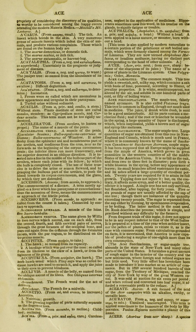 propriety of considering the discovery of its qualities, as worthy to be considered among the happy events attending the modern Materia Medica.—Mitchill's MS. Lectures. A.] ACARUS. (From a/capp;, small.) The tick. An insect which breeds in the skin. A very numerous genus of minute insects which infest the skin of ani- mals, and produce various complaints. Those wliich are found on the human body are X. The acarus (lomcsticus, or domestic tick. 2. The acarus scabiei, or itch tick. 3. The acarus autumn alls, or harvest-bug. ACATALE'PSIA. (From a, neg. and /caxaAapfiavw, to apprehend.) Uncertainty in the prognosis or judg- ment of diseases. ACA'TALIS. (From a, neg. and x«rcw, to want.) The juniper tree: so named from the abundance of its seeds. ACATA'POSIS. (From a, neg. and Karamvo), to swallow.) Difficult deglutition. Aca'statos. (From a, neg. and KaOiartjpt, to deter- mined Inconstant. 1. Fevers were so called which are anomalous in their appearance and irregular in their paroxysms. 2. Turbid urine without sediment. ACAULIS. (From a, priv. and caulis, a stem.) Without stem. Plants destitute of stem are called acaulcs, stemless; as Cypripedium acaule, and Car- duus acaulis. This term must not be too rigidly un- derstood. ACCELERATOR. (From accelero, to hasten or propel.) The name of a muscle of the penis. Accelerator urinje. A muscle of the penis. Ejaculator Seminis; Bulbo-syndesnw-cavemeux of Dumas; Bulbo-cavernosus of 'Winslow. It arises fleshy from the sphincter ani and membranous part of the urethra, and tendinous from the crus, near as far forwards as the beginning of the corpus cavemosum penis; the inferior fibres run more transversely, and the superior descend in an oblique direction. It is in- serted into a line in the middle of the bulbous part of the urethra, where each joins with its fellow; by which the bulb is completely closed. The use of these mus- cles is to drive the urine or semen forward, and by grasping the bulbous part of the urethra, to push the blood towards its corpus cavernosum, and the glans, by which they are distended. ACCESSION. {Accesio; from acccdo, to approach.) The commencement of a disease. A term mostly ap- plied io a fever which has paroxysms or exacerbations: thus the accession of fever, means the commencement or approach of the febrile period. ACCESSO RIUS. (From accedo to approach: so called from the course it takes.) Connected by con- tact or approach. Accessorius lumbalis. A muscle of the loins. See Sacro-lumbalis. Accessorius nervus. The name given by Willis to two nerves wliich ascend, one on each side, from the second, fourth, and fifth cervical pairs of nerves, through the great foramen of the occipital bone, and pa9i out again from the crtfiiium through the foramina lacera, with the par vagurn, to be distributed on the trr pezius muscle. ACCI'PITER. (From accipio, to take.) J. The hawk; so named from its rapacity. 2. A bandage which was put over the nose: so called f»om its likeness to the claw of a hawk, or from the tightness of its grasp. ACCIPITRI'NA. (From accipiter, the hawk.) The herb hawk-weed- which Pliny says was so called be- cause hawks are used to scratch it, and apply the juice to their eyes to prevent blindness. ACCLI' V IS. A muscle of the belly, so named from Hie oblique ascent of its tibres. See Obliquus interims abdominis. Accouchement. The French word for the act of delivery. Accoucheur. The French for a midwife. ACCRETIO. (From ad, and cresco, to increase.) Accretion. 1. N ulrition; growth. 2. The growing together of parts naturally separate as the lingers or toes. Accuua'tio. (From accumbo, to recline.) Child- bed ; reclining. Ace'oia. (From a, priv. and Kti&os, care.) Careless- ness, neglect in the application of medicines. Hippo- crates sometimes uses this word, in his treatise on tin glands, to signify fatigue or trouble. ACE'PHALUS* (Acephalus, i. m. axe^oAof; from a, priv. and Kt<t>a\n, a head.) Without a head. A term applied to a lusus natura:, or monster, bom with- out a head. [This term is also applied by modem naturalists to a certain portion of the gelatinous or soft bodied ani- mals, which were formerly classed among the Vermes of Linnaeus. They are now termed Acephalous Mol- luscte, or headless molluscte, having no distinct part corresponding to the head of other animals. A.] A'CER. {Acer, eris. neut.; from acer, sharp: be- cause of the sharpness of its juice.) The name of a genus of plants in the Linntean system. Class Polyga- mia; Order, Moncecia. Acer campestre. The common maple. This tree yields a sweetish, soft, milky sap, which contains a salt with basis of lime, possessed, according to Sherer, of peculiar properties. It is white, semitransparent, not altered by the air, and soluble in one hundred parts of cold, or fifty of boiling water. Acer pseudoplatanus. The maple-tree, falsely named sycamore. It is also called Platanus traga. This tree is common in England, though not much used in medicine. The juice, if drank while fresh, is said to be a good antiscorbutic. All its parts contain a sac- charine fluid; and if the root or branches be wounded in the spring, a large quantity of liquor is discharged, which, when inspissated, yields a brown sort of sugar and syrup like molasses. Acer saccharinum. The sugar maple-tree. Large quantities of sugar are obtained from this tree in New- England and Canada, which is much used in France, where it is commonly known by the name of Saccha- rum Canadense or Saccharum Acernum, maple sugar. It has been supposed that all Europe might be supplied from the maple of America, which grows in great quantities in the western counties of all the middle States of the American Union. It is as tail as the oak, and from two to three feet in diameter; puts forth a white blossom in the spring, before any appearance of leaves; its small branches afford sustenance for cattle, and its ashes afford a large quantity of excellent pot- ash. Twenty years are required for it to attain its full growth. Tapping does not injure it: but, on the con- trary, it affords more syrup, and of a better quality, the oftener it is tapped. A single tree has not only survived, but flourished, after tapping, for forty years. Five or six pounds of sugar are usually afforded by the sap of one tree; though there are instances of the quantity exceeding twenty pounds. The sugar is separated from the sap either by freezing, by spontaneous evaporation, or by boiling. The latter method is the most used. Dr. Rush describes the process; which is simple, and practised without any difficulty by the fanners. From frequent trials of this sugar, it does not appear to be in any respect inferior to that of the West Indies It is prepared at a time of the year when neither insect, nor the pollen of plants, exists to vitiate it, as is the case with common sugar. From calculations grounded on facts, it is ascertained, that America is now capa- ble of producing a surplus of one-eighth more than its own consumption. [The Acer Saccharinum, or sugar-maple tree, abounds in the state of New-York and many other parts of the United States. It furnishes a great amount of rough sugar in the interior of the country and the new settlements, where foreign and refined sugars are but little used. Very little effort has heretofore been made to introduce it into market as an article of com- merce. But in 1328 several hundred barrels of this sugar, from the Territory of Michigan, reached the city of New-York by way of the great Western ca- nal. It was sold at auction for six cents per pound ; and when refined and converted into loaf sugar, it af- forded a reasonable profit to the refiner. A.l ACERATE. Aceras. A salt formed of the acid of the Acer campestre with an alkaline, earthy, or metallic base. ACE'RATOS. From a, neg. and xepao>, or Ktpav- vvfu, to mix.) Unmixed; uncorrupted. This term is applied sometimes to the humours of the body by Hip pocrates. Paulus rEgineta mentions a plaster of this name. ACERB. {Acerbus from accr sharp.) A specie*