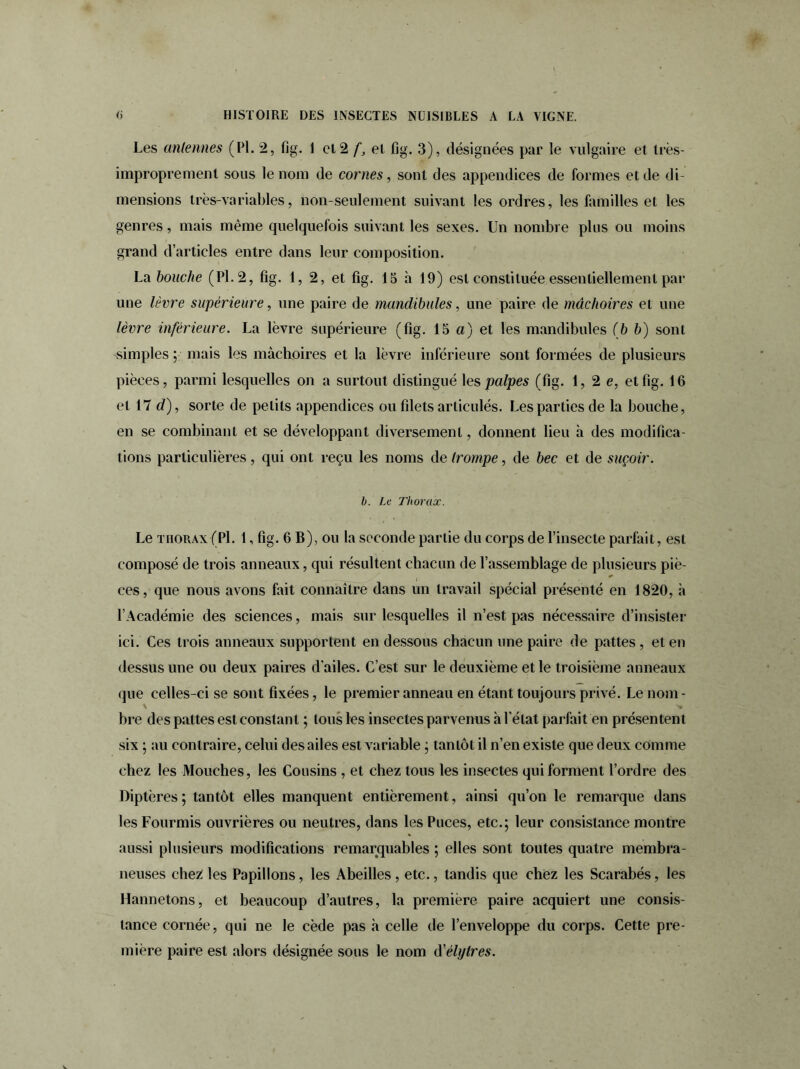 Les antennes (PI. 2, fig. 1 et 2 f, et fig. 3), désignées par le vulgaire et très- improprement sous le nom de cornes, sont des appendices de formes et de di- mensions très-va ri ables, non-seulement suivant les ordres, les familles et les genres, mais même quelquefois suivant les sexes. Un nombre plus ou moins grand d’articles entre dans leur composition. La bouche (Pl.2, fig. 1, 2, et fig. 15 à 19) est constituée essentiellement par une lèvre supérieure, une paire de mandibules, une paire de mâchoires et une lèvre inférieure. La lèvre supérieure (fig. 15 a) et les mandibules (b b) sont simples; mais les mâchoires et la lèvre inférieure sont formées de plusieurs pièces, parmi lesquelles on a surtout distingué les palpes (fig. 1,2 e, et fig. 16 et 17 d), sorte de petits appendices ou filets articulés. Les parties de la bouche, en se combinant et se développant diversement, donnent lieu à des modifica- tions particulières, qui ont reçu les noms détrompé, de bec et de suçoir. b. Le Thorax. Le thorax (Pl. 1, fig. 6 B), ou la seconde partie du corps de l’insecte parfait, est composé de trois anneaux, qui résultent chacun de l’assemblage de plusieurs piè- ces, que nous avons fait connaître dans un travail spécial présenté en 1820, à l’Académie des sciences, mais sur lesquelles il n’est pas nécessaire d’insister ici. Ces trois anneaux supportent en dessous chacun une paire de pattes , et en dessus une ou deux paires d'ailes. C’est sur le deuxième et le troisième anneaux que celles-ci se sont fixées, le premier anneau en étant toujours privé. Le nom- bre des pattes est constant ; tous les insectes parvenus à l'état parfait en présentent six ; au contraire, celui des ailes est variable ; tantôt il n’en existe que deux connue chez les Mouches, les Cousins , et chez tous les insectes qui forment l’ordre des Diptères; tantôt elles manquent entièrement, ainsi qu’on le remarque dans les Fourmis ouvrières ou neutres, dans les Puces, etc.; leur consistance montre aussi plusieurs modifications remarquables ; elles sont toutes quatre membra- neuses chez les Papillons, les Abeilles, etc., tandis que chez les Scarabés, les Hannetons, et beaucoup d’autres, la première paire acquiert une consis- tance cornée, qui ne le cède pas à celle de l’enveloppe du corps. Cette pre- mière paire est alors désignée sous le nom d’élylres.