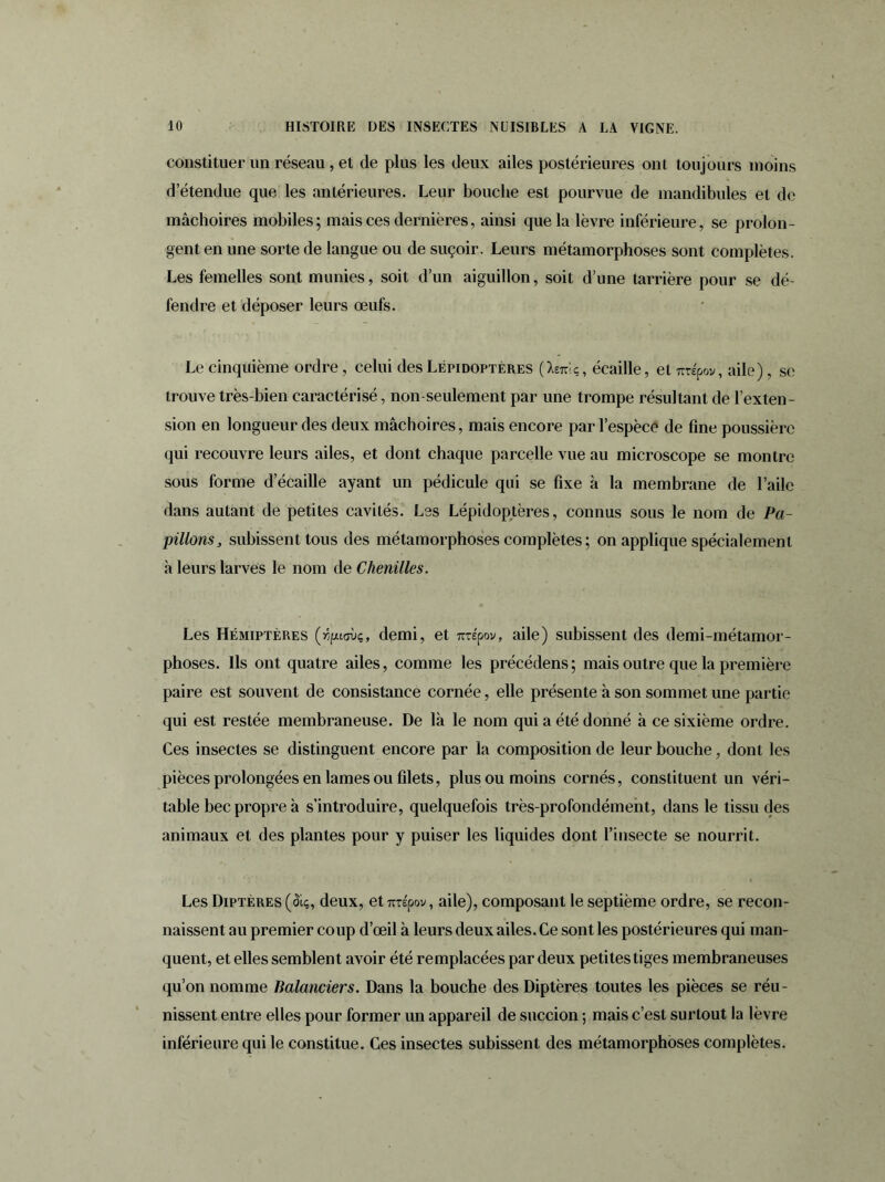 constituer un réseau, et de plus les deux ailes postérieures ont toujours moins d’étendue que les antérieures. Leur bouche est pourvue de mandibules et de mâchoires mobiles; mais ces dernières, ainsi que la lèvre inférieure, se prolon- gent en une sorte de langue ou de suçoir. Leurs métamorphoses sont complètes. Les femelles sont munies, soit d’un aiguillon, soit d’une tarrière pour se dé- fendre et déposer leurs œufs. Le cinquième ordre, celui des Lépidoptères (Xemc, écaille, et urépov, aile), se trouve très-bien caractérisé, non-seulement par une trompe résultant de l’exten- sion en longueur des deux mâchoires, mais encore par l’espèce de fine poussière qui recouvre leurs ailes, et dont chaque parcelle vue au microscope se montre sous forme d’écaille ayant un pédicule qui se fixe à la membrane de l’aile dans autant de petites cavités. Les Lépidoptères, connus sous le nom de Pa- pillons, subissent tous des métamorphoses complètes ; on applique spécialement à leurs larves le nom de Chenilles. Les Hémiptères (%ioùç, demi, et urépov, aile) subissent des demi-métamor- phoses. Ils ont quatre ailes, comme les précédens; mais outre que la première paire est souvent de consistance cornée, elle présente à son sommet une partie qui est restée membraneuse. De là le nom qui a été donné à ce sixième ordre. Ces insectes se distinguent encore par la composition de leur bouche, dont les pièces prolongées en lames ou filets, plus ou moins cornés, constituent un véri- table bec propre à s’introduire, quelquefois très-profondément, dans le tissu des animaux et des plantes pour y puiser les liquides dont l’insecte se nourrit. Les Diptères (&ç, deux, et urépov, aile), composant le septième ordre, se recon- naissent au premier coup d’œil à leurs deux ailes. Ce sont les postérieures qui man- quent, et elles semblent avoir été remplacées par deux petites tiges membraneuses qu’on nomme Balanciers. Dans la bouche des Diptères toutes les pièces se réu- nissent entre elles pour former un appareil de succion ; mais c’est surtout la lèvre inférieure qui le constitue. Ces insectes subissent des métamorphoses complètes.