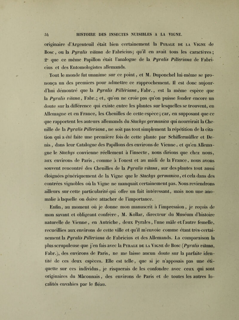 originaire d’Argenteuil était bien certainement la Pyrale de la Vigne de Bosc, ou la Pyralis vilana de Fabricius; qu’il en avait tous les caractères; 2° que ce même Papillon était l’analogue de la Pyralis Pilleriana île Fabri- cius et des Entomologistes allemands. Tout le monde fut unanime sur ce point, et M. Duponchel lui-même se pro- nonça un des premiers pour admettre ce rapprochement. Il est donc aujour- d’hui démontré que la Pyralis Pilleriana, Fabr., est la même espèce que la Pyralis vilana, Fabr.; et, qu’on ne croie pas qu’on puisse fonder encore un doute sur la différence qui existe entre les plantes sur lesquelles se trouvent, en Allemagne et en France, les Chenilles de cette espèce; car, en supposant que ce que rapportent les auteurs allemands du Slachys germanica qui nourrirait la Che- nille de la Pyralis Pilleriana, ne soit pas tout simplement la répétition de la cita- tion qui a été faite une première fois de cette plante par Schiffermüller et De- nis , dans leur Catalogue des Papillons des environs de Vienne, et qu’en Allema- gne le Slachys convienne réellement à l’insecte, nous dirions que chez nous, aux environs de Paris, comme à l’ouest et au midi de la France, nous avons souvent rencontré des Chenilles de la Pyralis vilana, sur des plantes tout aussi éloignées génériquement de la Vigne que le Slachys germanica, et cela dans des contrées vignobles où la Vigne ne manquait certainement pas. Nous reviendrons ailleurs sur cette particularité qui offre un fait intéressant, mais non une ano- malie à laquelle on doive attacher de l’importance. Enfin, au moment où je donne mon manuscrit à l’impression, je reçois de mon savant et obligeant confrère, M. Kollar, directeur du Muséum d’histoire naturelle de Vienne, en Autriche , deux Pyrales, l’une mâle et l’autre femelle, recueillies aux environs de cette ville et qu’il m’envoie comme étant très-certai- nement la Pyralis Pilleriana de Fabricius et des Allemands. La comparaison la plus scrupuleuse que j’en fais avec la Pyrale de la Vigne de Bosc (Pyralis vilana, Fabr.), des environs de Paris, ne me laisse aucun doute sur la parfaite iden- tité de ces deux espèces. Elle est telle, que si je n’apposais pas une éti- quette sur ces individus, je risquerais de les confondre avec ceux qui sont originaires du Maçonnais, des environs de Paris et de toutes les autres lo- calités envahies par le fléau.