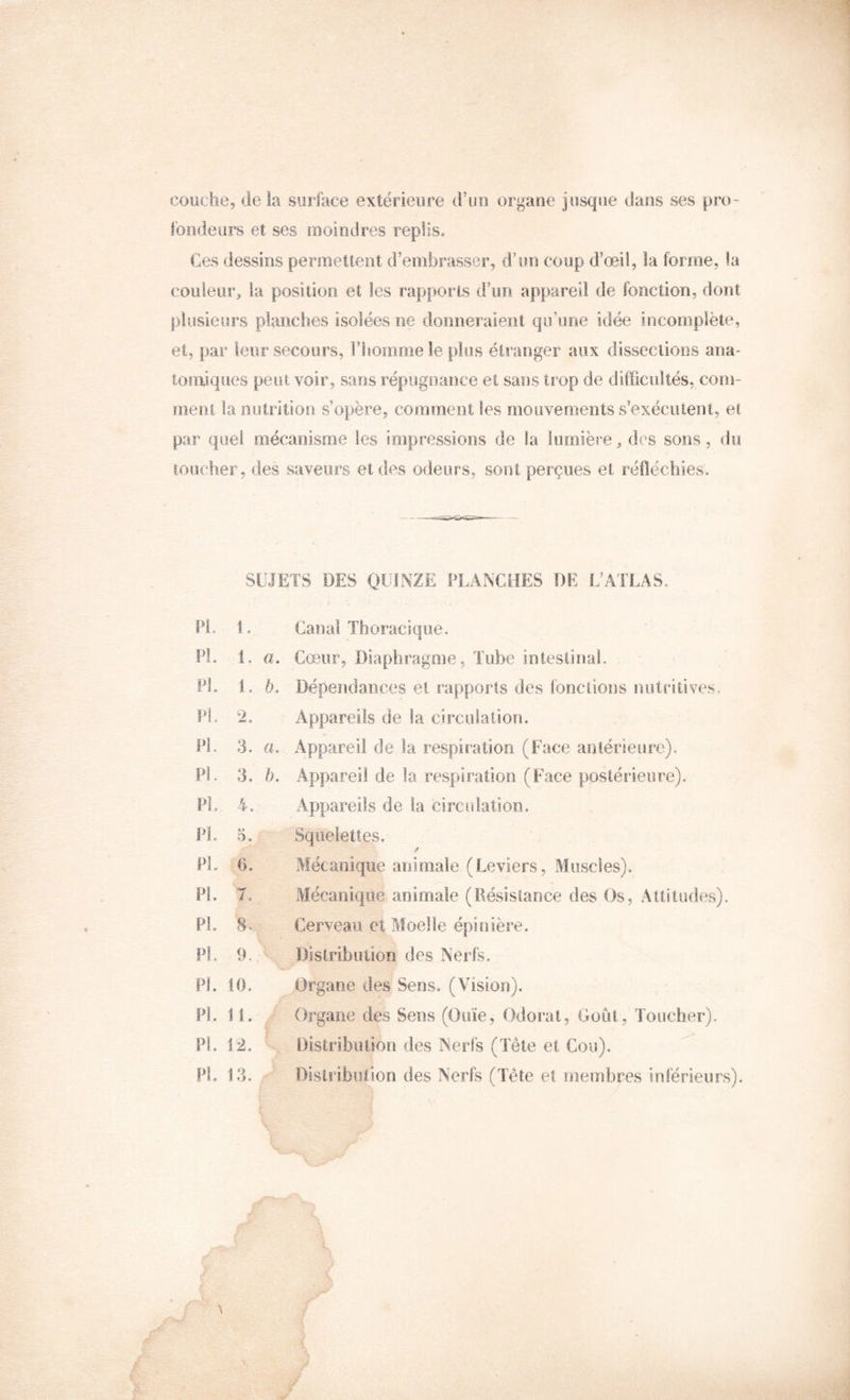 couche, delà suiface extérieure d’uu organe jusque dans ses pro- fondeurs et ses moindres replis. Ces dessins permetieiit d’embrasser, d’un coup d’œii, la forme, !a couleur, la position et les rapports d’un appareil de fonction, dont plusieurs planches isolées ne donneraient qivune idée incomplète, et, par leur secours, rhomme le plus étranger aux dissections ana- tomiques peut voir, sans répugnance et sans trop de difficultés, com- nienl la nutrition s’opère, comment les mouvements s’exéculent, et par quel mécanisme les impressions de la lumière, des sons, du toucher, des saveurs et des odeurs, sont perçues et réfléchies. SUJETS DES QUINZE PLANCHES DE L’ATLAS. Canal Thoracique. Pt. 1. a. Cœur, Diaphragme, Tube inteslirial. 1, 6, Dépendances et rapports des fonctions nutritives. Appareils de la circulation. PL 3. a. Appareil de la respiration (Face antérieure). PL 3. b. Appareil de la respiration (Face postérieure). Appareils de la circidatioo. Squelettes. Mécanique animale (Leviers, Muscles). Mécanique animale (Résistance des Os, Attitudes). Cerveau et Moelle épinière. Disiribuliori des Nerfs. Organe des Sens. (Vision). Organe des Sens (Ouïe, Odorat, Goût, Toucher). Distribution des Nerfs (Tête et Cou). ^ Distribotion des Nerfs (Tête et membres inférieurs). Pi. 1, Pt. 1. a. PL 1, 6, PL 2. PL 3. a. PI. 3. b. PL 4, PL 5. Pi, ■ 6. PL 7. PL 8., - PL 9. Pi. 10. PI. II. PL L2. PI, 13.