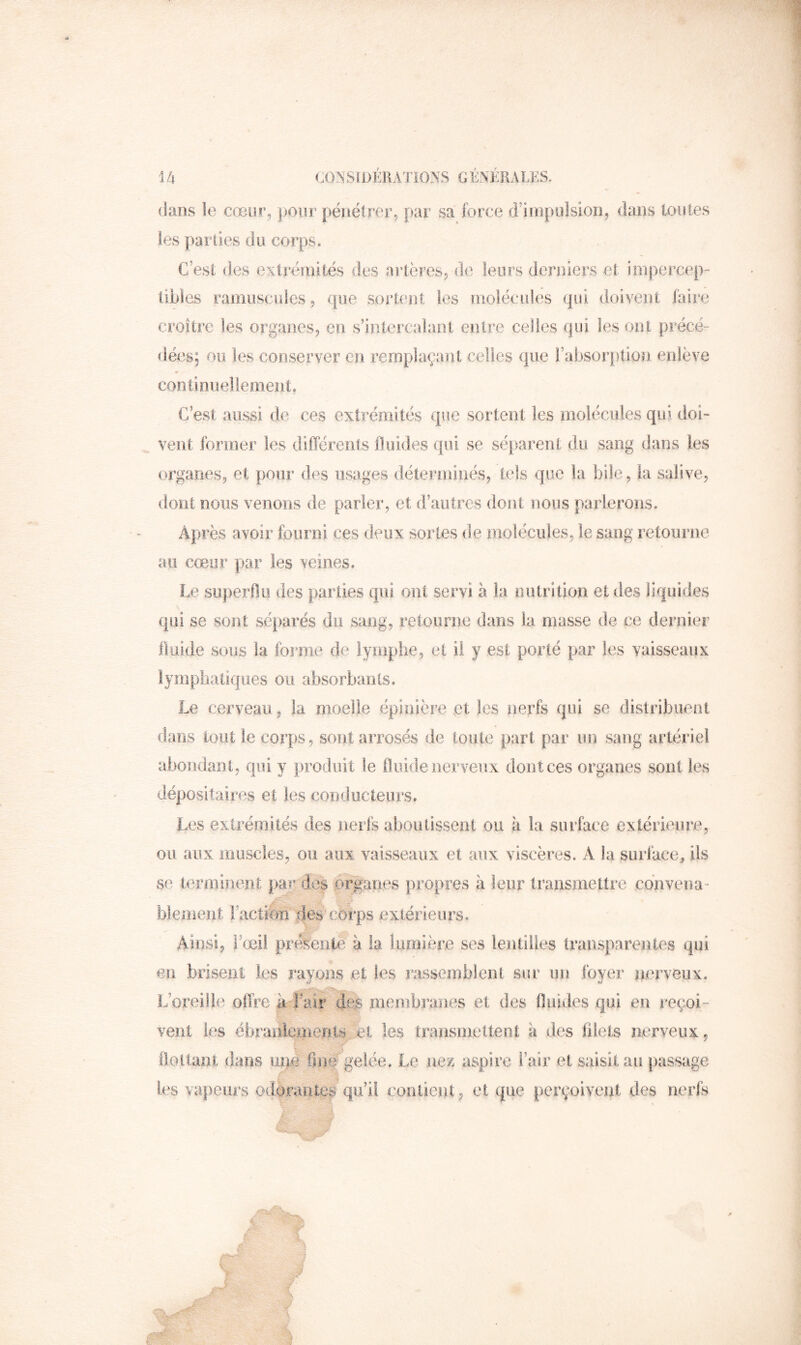 dans ie cœur, pour pénétrer, par sa ibrce d’impolsion, clans toutes les par lies du corps. C’est des extrémités des artères, de leurs derniers et impercep- tibles ramiîscules, que sortcmt les nioléciiles qui doivent faire croître les organes, en s’intercalant entre celles qui les ont précé- dées; ou les conserver en remplaçant celles que l’absorption enlève coritinuellement. C’est aussi de ces extrémités que sortent les molécules qui doi- veiït former les différents fluides qui se séparent du sang dans les organes, et pour des usages déterîuinés, tels que la bile, la salive, dont nous venons de parler, et d’autres dont nous parlerons. Après avoir fourni ces deux sortes de molécules, le sang retourne au cœur par les veines. Le superflu des parties qiü ont servi à la oiitritioii et des liquides qui se sont séparés du sang, retourne dans la masse de ce dernier fluide sous la forme de lymplie, et il y est porté par les vaisseaux iympiiatiques ou absorbants. Le cerveau, la moelle épinière et les nerfs qui se distribuent dans tout ie corps, sont arrosés de toute part par un sang artériel abondant, qui y produit le fluide nerveux dont ces organes sont les dépositaires et les conducteurs. Les extrémités des nerfs aboutissent ou à la surface extérieure, ou aux muscles, ou aux vaisseaux et aux viscères. A la surface^ ils se terminent par dc| .organes propres à leur transmettre ednvena blemeiit l’actfom'jîes'cÆps extérieurs. Ainsi, l’œil présente à la lumière ses lentilles transparentes qui en brisent les rayons et les rassemblent sur un foyer nerveux. L’oreille offre à lAit' membranes et des fluides qui en l'ccoi- vent les ébraiiiements^et les transmettent à des filets nerveux, flottant dans uîfoTfm# gelée. Le nez aspire l’air et saisit, au passage les vapeurs odorantes qu’il contient, et que perçoivent des nerfs