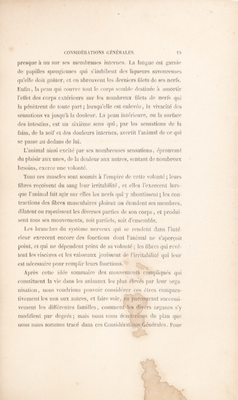 presque à uii sur ses oiembranes iulernes. La langue est garnie (le papilles spODgieiises qui s’imbibent des liqueurs savoureuses qu’elle doit goûler, et eu abreuvent tes derniers filets de ses nerfs. Enfui , la peau qui couvre tout le corps semble destinée à amortir l’effet des corps extérieurs sur les nombreux fdets de nerfs qui la pénètrent de toute part ; lorsqu’elle est enlevée, la vivacité des sensations va jusqu’à la douleur, La peau intérieure, ou la surface des intestins, est un sixième sens qui , par les sensations de la faim, de la soif et des douleurs internes, avertit faiiima! de ce qui se passe au dedans de lui. L’animai ainsi excité par ses nombreuses sensations , éprouvant du plaisir aux unes, de la douleur aux autres, sentant de nombreux besoins, exerce une volonté. Tous ces muscles sont soumis à l’empire de cette volonté ; leurs fibres reçoivent du sang leur irritabilité, et elles l’exercent lors- que Fanioial fait agir sur elles les nerfs qui y aboutissent ; les con*= tractions des fibres musculaires ploient ou étendent ses meffibres, dilatent ou rapetissent les diverses parties de son corps, et prodifr sent tous ses mouvements, soit partiels, soit d’ensemble. Les branches du système nerveux qui se rendent dans l’irité- rieur exercent encore des fonctions dont Fanimai ne s’aperçoit point, et qui ne dépendent point de sa volonté; les fibres qui révè- lent les viscères et les vaisseaux jouissent de Fimtabiiité qui leur est nécessaire pour remplir leurs fonctions. A Après cette idée sommaire des mouvements compliqués qui constituent la vie dans tes aoiinaux les plus élevés par leur orga- nisation , nous voudrions pouvoir considérer ces êtres compara- livement les uns aux autres, et faire voir, en parcourant siiccessi- ; P verneni les différentes familles, comment les divers organes s’y modiüent par degrés : maïs nous nous écarlerions du plan que nous nous sommes tracé dans ces Considérations Générales. Pour