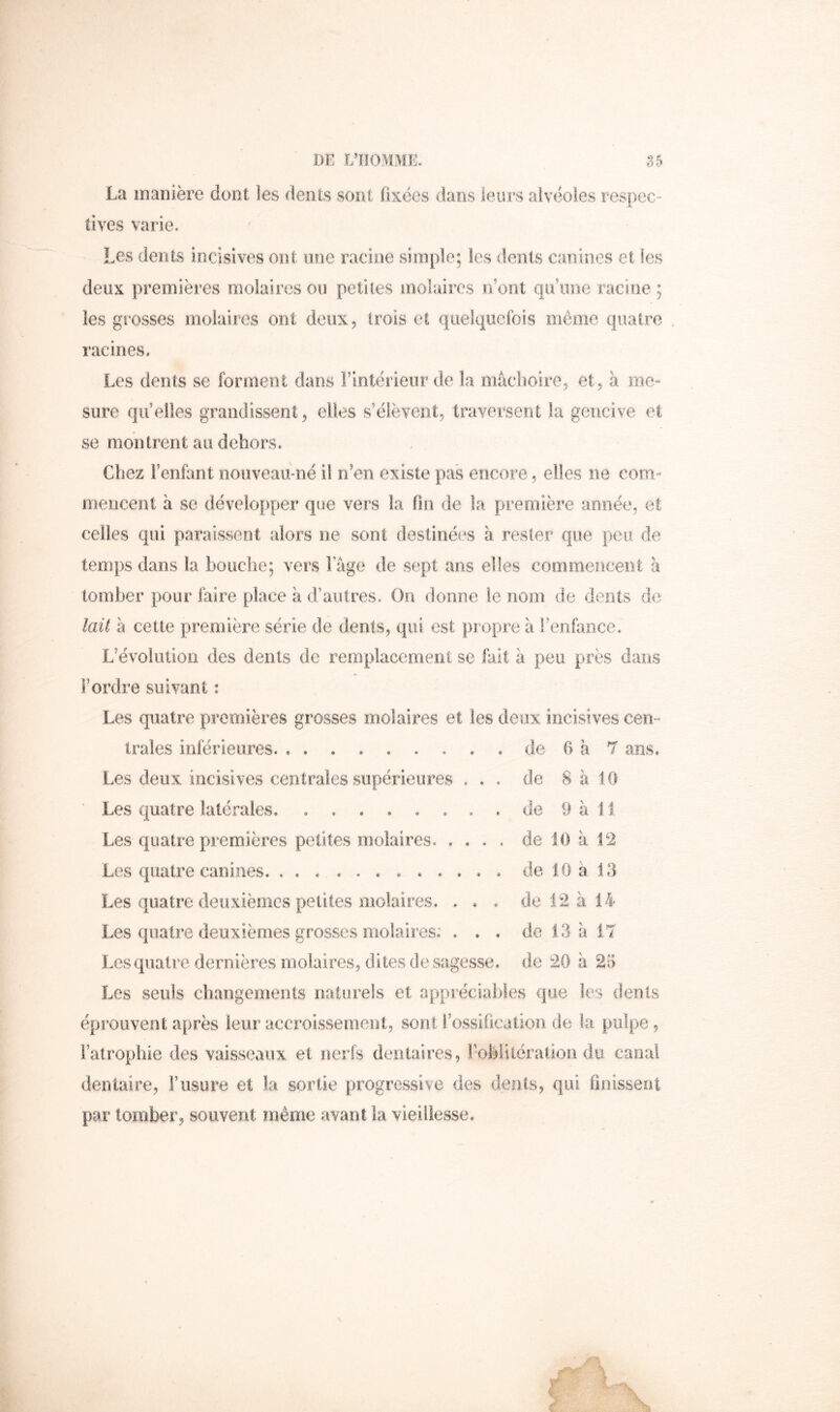 La manière dont les dents sont fixées dans leurs alvéoles respec- tives varie. Les dents incisives ont une racine simple; les dents canines et les deux premières molaires ou petites molaires réont qu’une racine ; les grosses molaires ont deux, trois et quelquefois même quatre racines. Les dents se forment dans l’intérieur de la mâchoire, et, à me- sure qu elles grandissent, elles s’élèvent, traversent la gencive et se montrent au dehors. Chez l’enfant noiiveaLi-né il n’en existe pas encore, elles ne com- mencent à se développer que vers la fin de la première année, et celles qui paraissent alors ne sont destinées à rester que peu de temps dans la bouche; vers lage de sept ans elles commencent à tomber pour faire place à d’autres. On donne le nom de dents de lait à cette première série de dents, qui est propre à Fenfaiice, L’évolution des dents de reniplacemeni se fait à peu près dans l’ordre suivant i Les quatre premières grosses molaires et les deux incisives cen- trales inférieures. ......... de 6 à 7 ans. Les deux incisives centrales supérieures ... de 8 à 10 Les quatre latérales, , . . , , , . , de 9 à 11 Les quatre premières petites molaires. .... de 10 à 12 Les quatre canines. de 10 à 13 Les quatre deuxièmes petites molaires. . . . de 12 à 14 Les quatre deuxièmes grosses molaires.’ . . . de 13 à 17 Les quatre dernières molaires, dites de sagesse, de 20 à 23 Les seuls changements naturels et appréciables que les dents éprouvent après leur accroissement, sont l’ossification de la pulpe, l’atrophie des vaisseaux et nerfs dentaires, rohiitération du canal dentaire, l’usure et la sortie progressive des dents, qui unissent par tomber, souvent même avant la vieillesse.