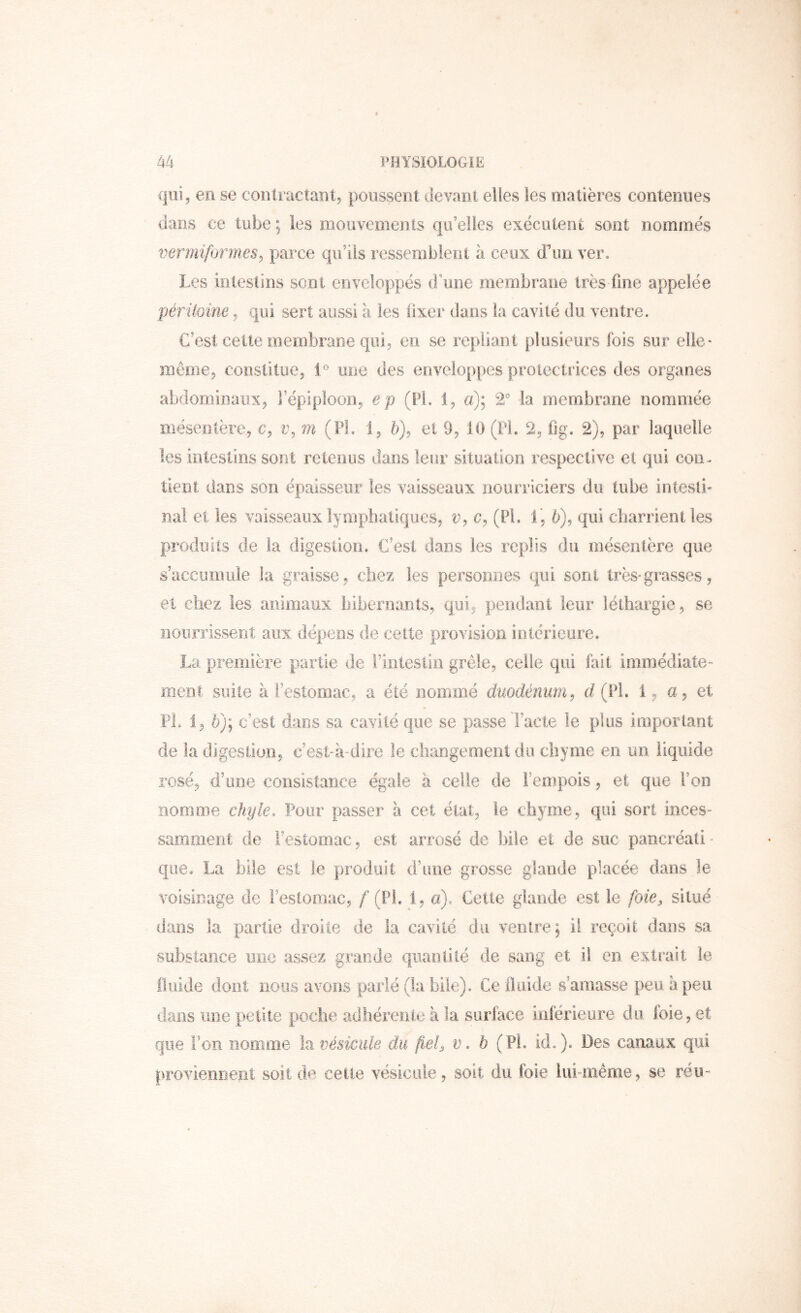 qui, en se coiitmctant, poussent (levaDt elles les matières contenues dans ce tube ; les mouvements qu’elles exécutent sont nommés 'oermifonnes^ parce qu’ils ressemblent à ceux d\iii ver. Les intestins sont enveloppés d’une membrane très fine appelée pérüoine, qui sert aussi à les fixer dans la cavité du ventre. C’est celle membrane qui, en se repliant plusieurs fois sur elle' meme, constitue, une des enveloppes protectrices des organes abdominaux, Féplploon, ep (Pi. 1, a): 2* la membrane nommée mésentère., c, m (PL 1, 6), et 9, 10 (Pi. 2, fig. 2), par laquelle les intestins sont reteous dans leur situation respective et qui con- tient dans son épaisseur les vaisseaux nourriciers du tube inlesli' nal et les vaisseaux lymphatiques, u, c, (PL 1,5), qui charrient les piTîduiis de la digestion. C’est dans les replis du mésentère que ^s’accünmle ,1a graisse, chez les personnes qui sont très*grasses, et chez les animaux hibernants, qui, pendant leur léthargie, se nourrissent aux dépe.DS de cette provision iolérieiire. La première partie de l’intesiin grêle, celle qui fait immédiate- ment suite à restomac, a été nommé duodénum^ d (PL 1, a, et FL 1, 6); c’est dans sa cavité que se passe l’acte le plus important de la digestion, c’est-à-dire le changement du chyme en un. liquide rosé, d’une consistance égale à celle de l’empois, et que l’on nomme chyle. Pour passer à cet état, le chyme, qui sort inces- saroment de l’estomac, est arrosé de hile et de suc pancréati- que. La bi.le est le produit d’une grosse glande placée dans le voisinage de l’estomac, / (PL 1, a). Celte glande est le foie, situé dans la pa.rtie droite de la cavité du veiit,re; il reçoit dans sa substance une assez grande quanlité de sang et il en extrait le Hrdde dont nous avons parlé (la bile). Ce il aide s’amasse peu à peu dans une petite poche adhérente à la surface inférieure du foie, et que Ton nomme k vésicule du fiel, v. b (Pi. id.). Des canaux qui proviennent soit de cette vésicule, soit du foie lui-même, se réu-