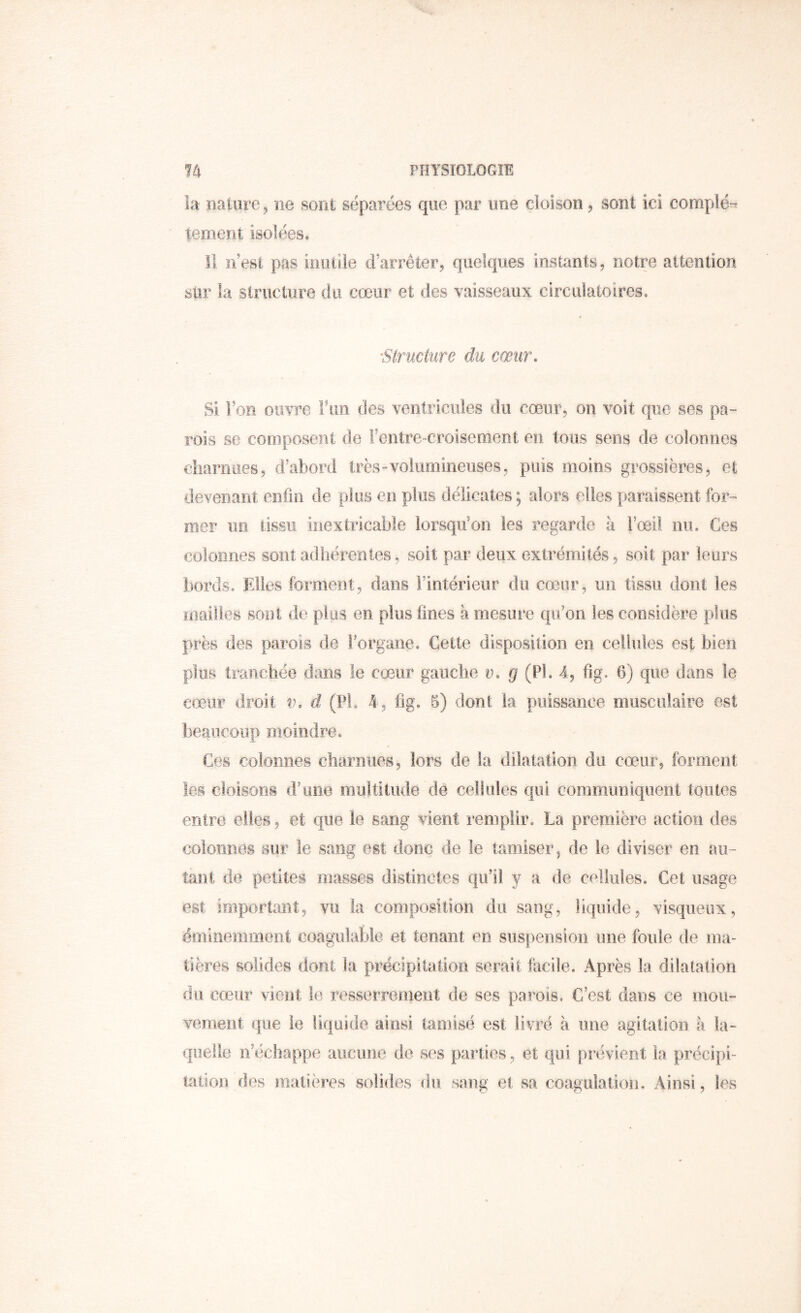 la nafciire, ne sont séparées que par une cloison, sont ici compié-r terrient isolées. 1! n est pas ioiitile cFarrêter, quelques instants, notre attention sur la slrucùire du cœur et des vaisseaux circuiatoires. 'Structure du cœur. Si l’on ouvre Fiin des ventricules du cœur, on voit que ses pa- rois se composent de Fentre-croisement en tous sens de colonnes diarnoes, d’abord très “Volumineuses, puis moins grossières, et devenant enfin de plus en plus délicates; alors elles paraissent for- mer un tissu inextricable lorsqu’on les regarde à Fœi! mu Ces colonnes sont adhérentes, soit par deux extrémités, soit par leurs bords. Elles forment, dans Fintérieiir du cœur, un tissu dont les mailles sont de plus en plus fines à mesure qu’on les considère plus près des parois de Forgane. Cette disposition en cellules est bien plus tranchée dans le cœur gauche v. g (PL 4, fig. 6) que dans le cœur droit v. d (PL 4, fig. 5) dont la puissance musculaire est beaucoup moindre. Ces colonnes cliarniies, lors de la dilatation du cœur, forment les cloisons d’oiie multitude de cellules qiü communiquent toutes entre elles, et que le sang vient remplir. La première action des colonnes sur le sang est donc de le tamiser, de le diviser en au- tant de petites masses distinctes qu’il y a de cellules. Cet usage est important, vu la composition du sang, liquide, visqueux, éminemment coagulable et tenant en suspension une foule de ma- tières solides dont la précipitation serait facile. Après la dilatation du cœur vient le resserrement de ses parois. C’est dans ce mou- vement que le liquide ainsi tamisé est livré à une agitation à la- quelle n’échappe aucune de ses parties, et qui prévient la précipi- tation des matières solides du sang et sa coagulation. Ainsi, les