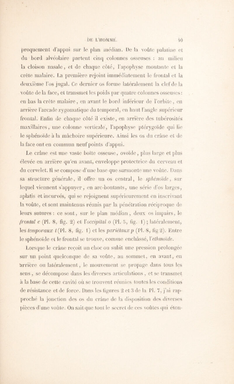 proquemeni (l’appui sur le plan iitédian. De la voûte palatine et du bord alvéolaire partent cinq colonnes osseuses : au milieu la cloison nasale, et de chaque côté, l’apophyse montante et la crête malaire. La première rejoint immédiatement le frontal et la deuxième l’os jugah Ce dernier os forme latéralement la clef de la voûte de la face, et transmet les poids par quatre colonnes osseuses : en bas la crête mataire, en avant le bord inférieur de Forbite, en arrière Farcade zygomatique du temporal, en haut Faogle supérieur frontal, Eniin de chaque côté il existe, en arrière des tubérosités maxillaires, une colonne ^’erticale, Fapopbyse ptérygoïde qui lie le sphénoïde à la mâchoire supérieure. Ainsi les os du crâne et de- là face ont en commun neuf points d’appui. Le crâne est une vaste boite osseuse, ovoïde, plus large et plus élevée en arrière qiCen avant, enveloppe protectrice du cerveau et du cervelet. Il se compose d’une base que surnioote une voûte. Dans sa structure générale, il offre un os central, le sphénoïde^ sur lefjiiei viennent s’appuyer, en arc-boulants, une série d’os larges, aplatis et incurvés, qui se rejoignent supérieurement en inscrivaiil la voûte, et sont maintenus réunis par la pénétration réciproque de leurs sutures: ce sont, sur le plan médian, deux os impairs, le frontal c (PL 8, bg. 2) et Voccipiial o (PL 5, fig.. 1) ; latéralement, les temporaux ^(Pl. 8, fig. 1) et les pariétauxp (PL 8, ilg2). Entre le sphénoïde et le frontal se trouve, comme enchâssé, Velhmcnde. Lorsque le crâne reçoit un choc ou subit une pression prolongée sur un point quelconque de sa voûte, au sommet, en avant, en arrière ou latéralement, le mouvement se propage dans tous les sens, se décompose dans les diverses articulations , et se transmet à la base de cette cavité où se trouvent réunies toutes les condilious de résistance et de force. Dans les ligures 2 et 3 de la PL 7, j’ai rap- proché la jonction des os du crâne de la disposition des diverses pièces d’une voûte. On sait que tout le secret de ces voûtes (fui étoii-