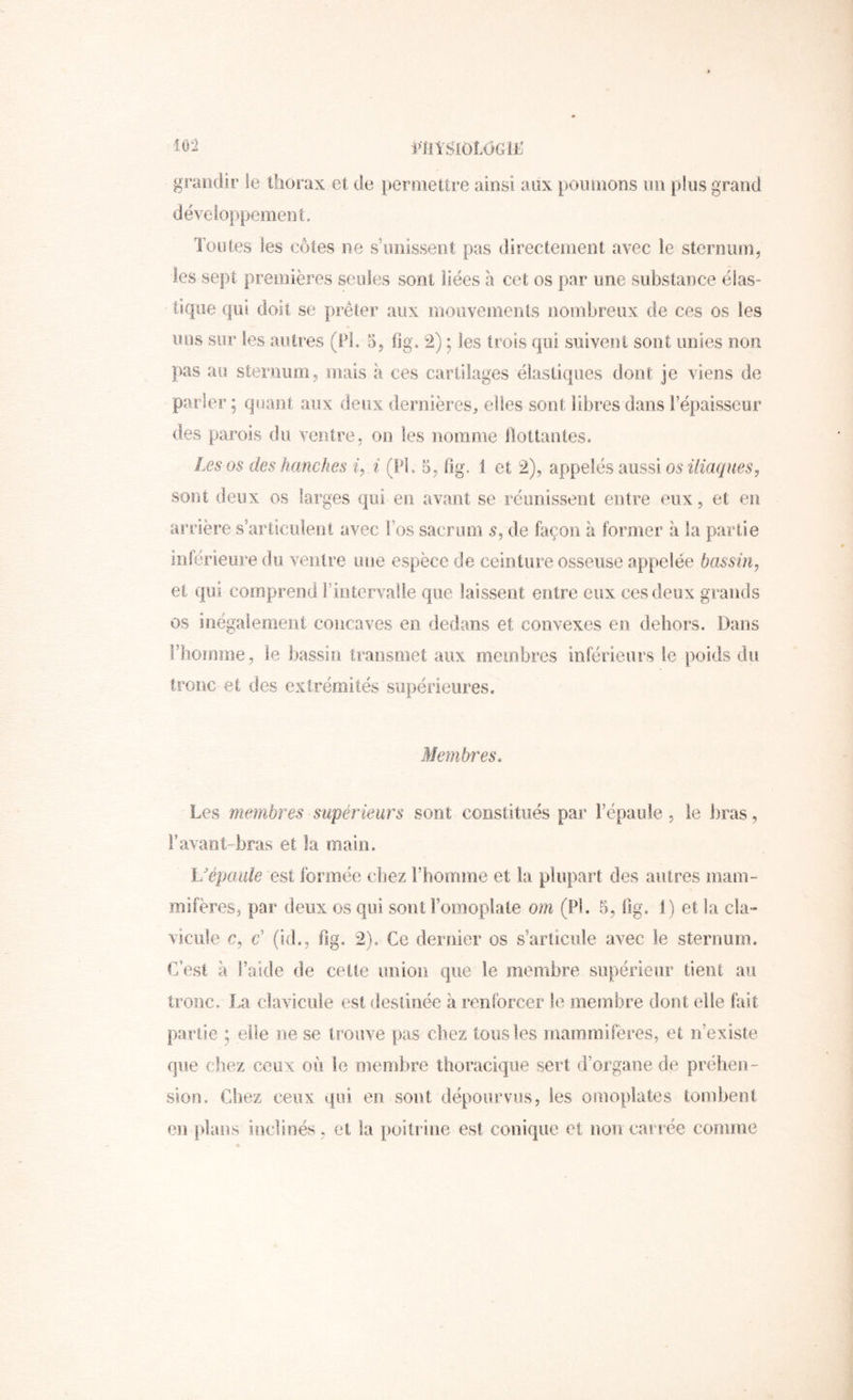 niŸSiOlOGLË loi grandir le thorax et de permettre ainsi aux [joinnons un plus grand développement. Toutes les côtes ne s’iiiiissent pas directement avec le sternum, les sept premières seules sont liées a cet os par une substance élas- tique qui doit se prêter aux mouvements nombreux de ces os les uns sur les autres (FL 5^ fig. 2) ; les trois qui suivent sont unies non j)as au sternum, mais à ces cartilages élastiques dont je viens de parler ; quant aux deux dernières^ elles sont libres dans l’épaisseur des parois du ventre, on les nomme bottantes. Les os des hanches L i (PL 5, tlg. 1 et 2), appelés‘àiisû os iliaques^ sont deux os larges qui en avant se réunissent entre eux, et en arrière s’articulent avec l’os sacrum s, de façon à former à la partie inferieure du ventre une espèce de ceinture osseuse appelée bassin^ et qui comprend riiitervalle que laissent entre eux ces deux grands os inégale ment concaves en dedans et convexes en dehors. Dans i’Iiomme, le bassin transmet aux membres inférieurs le poids du tronc et des extrémités supérieures. Membres. Les membres supérieurs sont constitués par l’épaule, le bras, Favael-bras et la main. Uépo/uie est formée chez l’homme et la plupart des autres mam- mifères, par deux os qui sont l’omoplate om (PL 5, üg. 1) et la cla- vicule c, & {id., fig. 2). Ce dernier os s’articule avec le sternum. C’est à l’aide de celte miion que le membre supérieur tient au tronc. La clavicule est destinée à renforcer le membre dont elle fait partie ; elle ne se trouve pas chez tous les mammifères, et n’existe que chez ceux on le membre thoracique sert iPorgaoe de préhen- sion. Chez ceux qui en sont dépourvus, les omoplates tombent en i)lans incrmés, et la poitr ine est conique et non caiiée comme