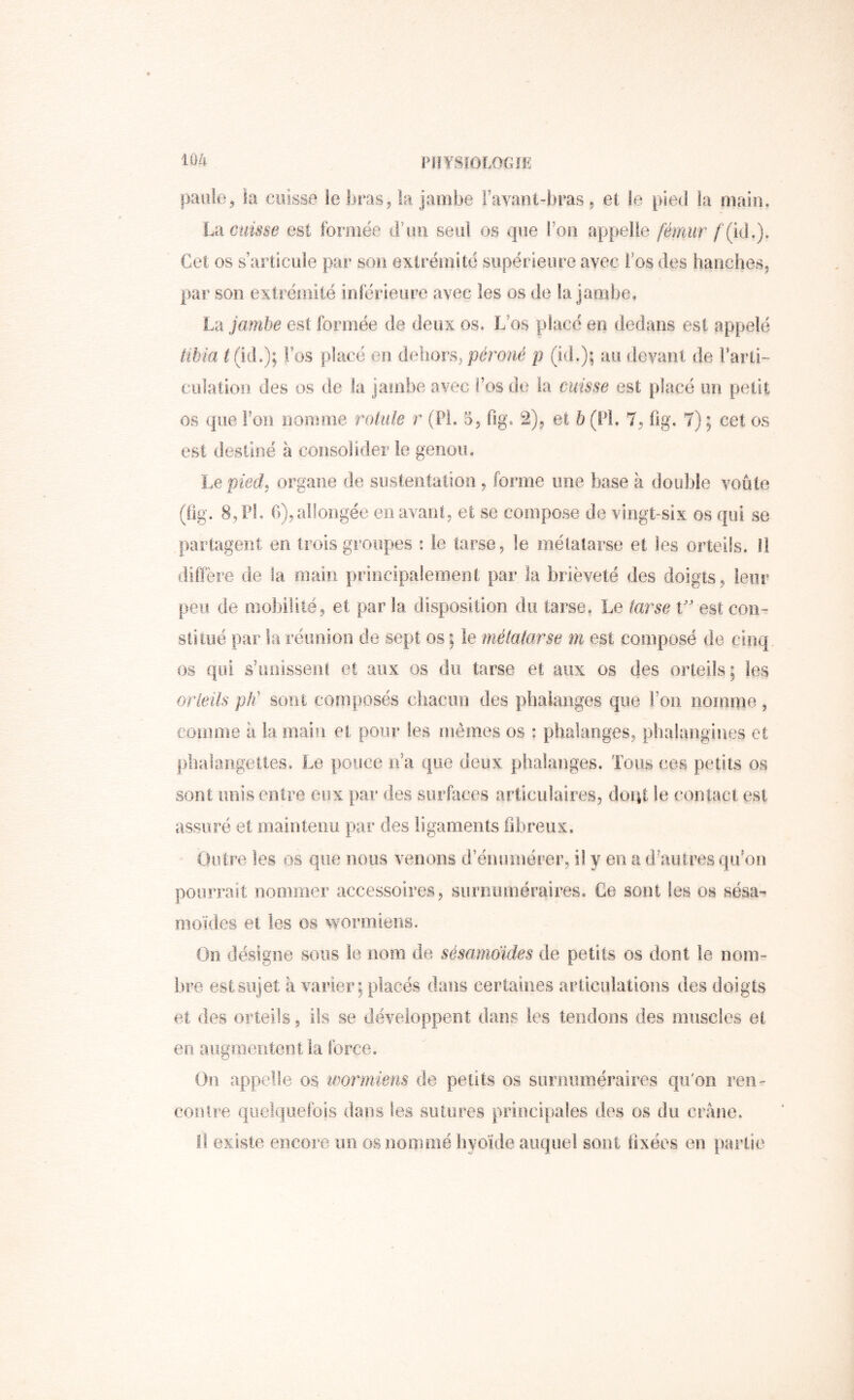 paille, la cuisse le bras, la jambe Favant-bras, et le pied la main. L‘à caisse est formée iFuii seul os que l'on appelle fémur Cet os s’articule par sou extrémité supérieure avec i’os des hanches, par son extrémité inlérieure avec les os de la jambe. La jambe est formée de deux os. L’os placé en dedans est appelé tibia L(id.); Fos placé en dehors y péroné p (id.); au devant de Farti- cülation des os de la jambe avec i’os de la cuisse est placé un petit os que l’on nomme rotule r (Pi. 5, fig. 2), et b (PL 7, lîg. 7) ; cet os est destiné à consolider le genou. Le pied, organe de sustentation, forme une base à double voûte (üg. 8, PL G), allongée en avant, et se compose de vingt-six os qui se partagent en trois groupes : le tarse, le métatarse et les orteils. M diffère de la main principalement par la brièveté des doigts, leur peu de mobilité, et par la disposition du tarse. Le tarse V est con- stitué par ia réimion de sept os : le métatarse m est composé de cinq os qui s’imissenl et aux os du tarse et aux os des orteils; les orleüs pté sont composés chacun des phalanges que Fon nomme, comme à la main et pour les mêmes os : phalanges, phalangines et phalangettes. Le pouce n’a que deux phalanges. Tous ces petits os sont unis entre eux par des surfaces articulaires, doqt le contact est assuré et maintenu par des ligaments fibreux. Outre les os que noos venons d’éimmérer, il y en a d’autres qiFon pourrait nominer accessoires, surnuméraires. Ce sont les os sésa- moïdes et les os vvormiens. On désigne sous le nom de sésamdides de petits os dont le nom- bre est sujet II varier ; placés dans certaines articulations des doigts et des orteils, ils se développent dans les tendons des muscles et en augmentent la force. On appelle os wormiens de petits os siiinuméraires qu'on ren- contre qiielqiiefois dans les sutures principales des os du crâne. Il existe encore un os nommé hyoïde auquel sont Fixées en partie