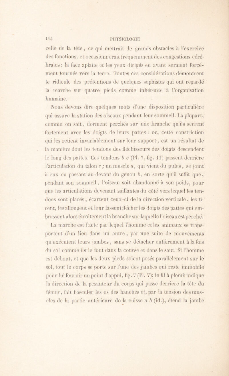 celle (le la télé 5 ce qui nieilraii de grands obstacles à Fexercice des fondions, et occasionnerait fréquernoient des congeslions céré- brales ; la face aplatie et les yeux dirigés en avant seraient forcé- ment tournés vers la terre. Tontes ces considérations dériKintrent le ridicule des prétentions de quelques sophistes qui ont regardé la oiarclie sur quatre pieds comme inhérente à l’organisation hninaine. iSous devons dire quelques mots dTme disposition particulière qui assure la station des oiseaux pendant leur sommeil. La plupart, comme on sait , dorment perchés sur une branche qu’ils serrent fortement avec les doigts de leurs pattes : or, cette eonstriction qui les retient invariablement sur leur support , est un résultat de la manière dont les tendons des fléchisseurs des doigts descendent le long des pattes. Ces tendons 5 c (Pl. 7, ilg. 11) passent derrière l’articulation du talon e; un muscle a, qui vient du pubis, se joint a eux en passant au-devant du genou 5, en sorte qu’il suffit que, pendant son sommeil, Foiseau soit abandonné à son poids, pour que les articulations devenant saiHantes du côté vers lequel les ten- dons sont placés, écartent ceux-ci de la direction verticale, les ti- rent, les allongent et leur fassent fléchir les doigts des pattes qui em- brassent alors éiroitemeiit la branche sur laquelle l’oiseau est perché, La marche est l’acte par lequel l’homme et les animaux se trans- portent d’un lieu dans un autre, par une suite de mouvements qu’exécutent leurs jambes, sans se détacher entièrement à la fois du sol comme ils le font dans la course et dans le saut. Si ITiomme est debout, et que les deux pieds soient posés parallèlement sur le sol, tout le corps se porte sur l’une des jambes qui reste immobile pour lui fournir un point d’appui, fig. 7 (PL 7); le fil à plomb indique la direction de la pesanteur du corps qui passe derrière la tête du fémur, fait basculer les os des hanches et, par la tension des mus- cles de la partie antérieure de la cuisse a b (id.), étend la jambe