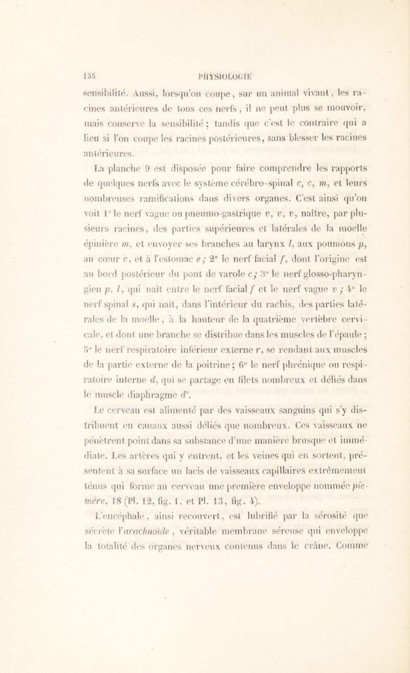 io/i PîiYSlOLOGiE sensibilité. Aussi, lorsqu'on eon[)e, sur un animal vivant, les ra- cines antérieiires de tous ces nerfs, il ne peut plus se niouvoir, mais conserve la sensibilité ; tandis que c’est le contraire qui a lien si Fon coupe les racines postérieures, sans'biesser les racines antérieures. La planche 9 est disposée pour faire comprendre les rap[)Orts de quelques nerfs avec le système cérébro-spinal c, c, m, et leurs nombreuses ramifications dans divers organes. C’est ainsi qu’on voit i'’le neif vague ou pneumo-gastriqiie n, tq t', naître, par plu- sieurs racines, des parties supérieures et latérales de la moelle épinière m, et envoyer ses branches au larynx aux pomuous p, au cœur c, et à l’estomac e; â'’ le nerf facial dont l’origine est au bord postérieur do pont de varole c; le nerf glosso-pharyn- gien p. qui naît entre le nerf facial f et le nerf vague v ; L*’ le nerf spinal qui naît, dans Fiiitérieur du rachis, des parties laté- rales de la moelle, à la hauteur de la quatrième vertèbre cervi- cale, et dont une branche se distribue dans les muscles de l’épaule ; 5'' le nerf respiratoire inférieur externe r, se rendant aux muscles de la partie externe de la poitrine ; 6® le nerf phrénique ou respi- ratoire interne d, qui se partage eu tilels nombreux et déliés dans le muscle diaphragme d\ Le cerveau est alimenté par des vaisseaux sanguins qui s’y dis- tribuent en canaux aussi déliés que nombreux. Ces vaisseaux ne pénètrent point dans sa substance d’ime manière brusque et immé- diate. Les artères qui y entrent, et les velues qui en sortent, pré- sentent à sa surface un lacis de vaisseaux capillaires exirêmemeut lénns qui forme au cerveau une première enveloppe nommée pie- mère, 18 (PL 12, fig. 1, et PL 13, fig. 4). L’encéphale, ainsi recouvert, est lubrifié par la sérosité que sécrète Varachnoïde , véritable membrane séreuse qui enveloppe la totalité des organes neî’veux contenus dans le crâne. Comme