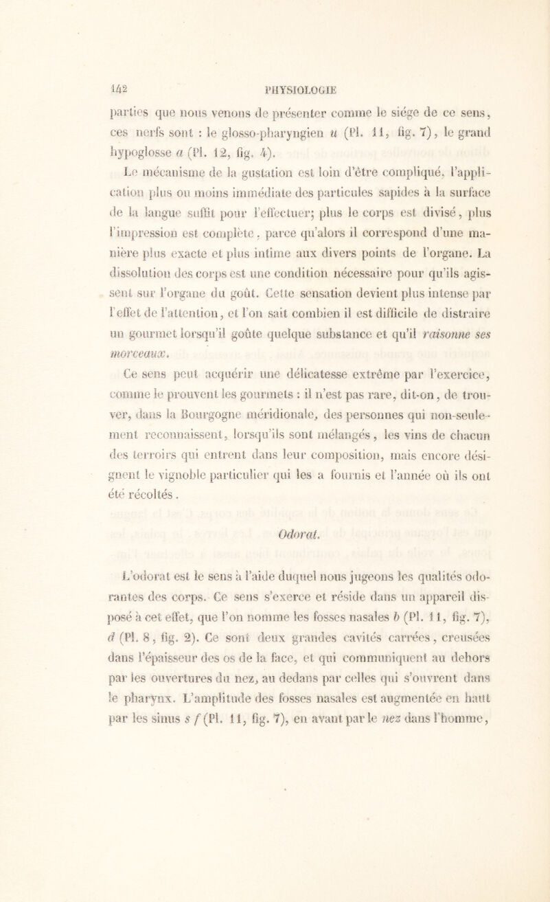 parties que nous venous de présenter comme le siège de ce sens 5 ces nerfs sont : le glosso-pharyngien (Pl. 11^ üg. 7) 5 le gimid hypoglosse a (H. 12, fig. Y). Le mécanisme de la gustation est loin d’être compliqué, l’appli- cation plus ou moins immédiate des particules sapides à la surface de la langue suffit pour l’effectuer; plus le corps est divisé, plus rimpression est complète, parce qu’alors il correspond d’une ma- nière plus exacte et plus intime aux divers points de l’organe. La dissolution des corps est une condition nécessaire pour qu’ils agis- sent sur l’organe du goût. Cette sensation devient plus intense par refïèt de l’attention, et l’on sait combien il est difficile de distraire un gourmet lorsqu’il goûte quelque substance et qu’i! raisonne ses ■morceaxix. Ce sens peut acquérir une délicatesse extrême par l’exercice, comme le pimiveni les gourmets : il n’est pas rare, dit-on, de trou- ver, dans la Bourgogne oiéridionale,. des personnes qui non-seule - ment recomiaisseiit^ lorsqu’ils sont mélangés, les vins de chacun des terroirs qui entrent dans leur compositioii, mais encore dési- gnent le vignoble particulier qui les a fournis et l’année oû ils ont été récoltés. Odorat. L’odorat est ie sens à i’aiJe duquel nous jugeons les qualités odo- fautes des corps. Ce sens s’exerce et réside dans un appareil dis- l>osé à cet effet, que l’on nomme les fosses nasales b (PL 11, fig. 7), d (PI. 8, fig. 2). Ce sont deux grandes cavités carrées, creusées dans l’épaisseur des os de la face, et qui communiquent au dehors par les ouvertures du nez^ au dedans par celles qui s’ouvrent dans le pharynx. L’amplitude des fosses nasales est augmentée en liant par les sinus s f (Pl, 1 i, fig. 7), en avant par ie nez dans rhomme,