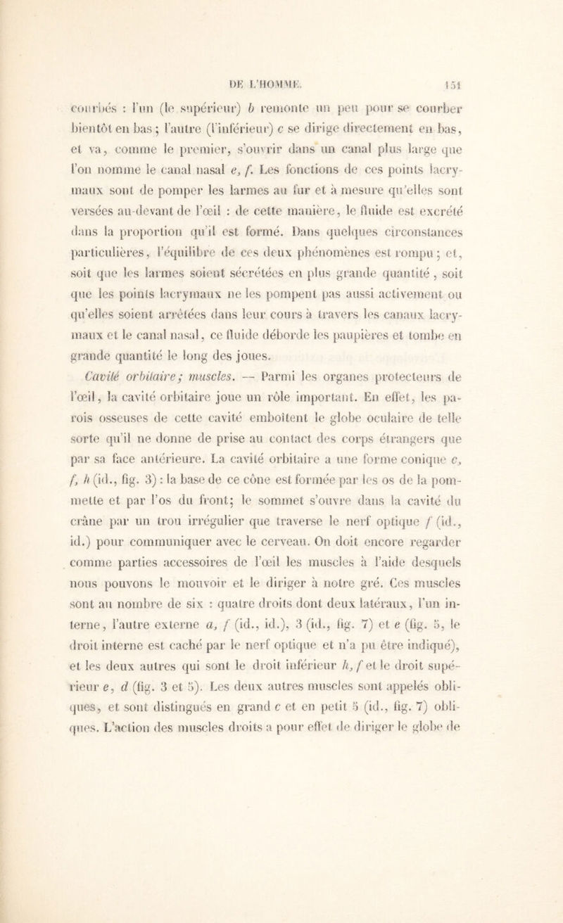 Î)E î/BOiVIMi:, 1 51 couî’bës : i’iin (te supérieur) b reusoule un peu pour se courber ])ientôteii bas; l’autre (l’inférieur) c se dirige directement en bas, et va, comme le premier, s’ouvrir dans un canal plus large que l’on nomme le canal nasal e, /*. I.es fonctions de ces points lacry- maux sont de pomper les larmes au fur et à mesure qu'elles sont versées au-devant de l’œil : de cette manière, le Huide est excrété iians la proportiou qu’il est formé. Dans quelques circonstances particulières, l’équilibre de ces deux phénomènes est rompu : et, soit que les larmes soient sécrétées eu plus grande quantité , soit que les points lacrymaux ne les pompent pas aussi activeinent ou qu’elles soient arrêtées dans leur cours a travers les canaux lacry- maux et le canal nasal, ce fluide déborde les paupières et tombe en grande quantité le long des joiies« Cavité orbüaire; muscles. — Parmi les organes protecteurs de l’œil, la cavité orbitaire joue un rôle important. En effet, les pa- rois osseuses de cette cavité emboîtent le globe oculaire de telle sorte qu’il ne donne de prise au contact des corps étrangers que par sa face antérieure. La cavité orbitaire a une forme conique c, 4 à (id., fig, 3) : la base de ce cône est formée par tes os de la pom- mette et par l’os du front; le sommet s’ouvre dans la cavité du crâne par un trou irrégulier que traverse le nerf optique / (id., id.) pour communiquer avec le cerveau. On doit encore regarder comme parties accessoires de l’œil les muscles à l’aide desquels nous pouvons le mouvoir et le diriger à notre gré. Ces muscles sont au nombre de six : quatre droits dont deux latéraux, Fim in- terne, l’autre externe a, f (id., id.), 3 (id., fig, 7) et e (llg. 5, le droit interne est caché par le nerf optique et n’a pu être indiqué), et les deux autres qui sont le droit inférieur f elle droit supé- rieur c, d (fig. 3 et 5). Les deux autres muscles sont appelés obli- ques, et sont distingués en grand c et en petit 5 (id,, üg. 7) obli- ques. L’action des muscles dî’oits a pour efTet rie diriger le globe de