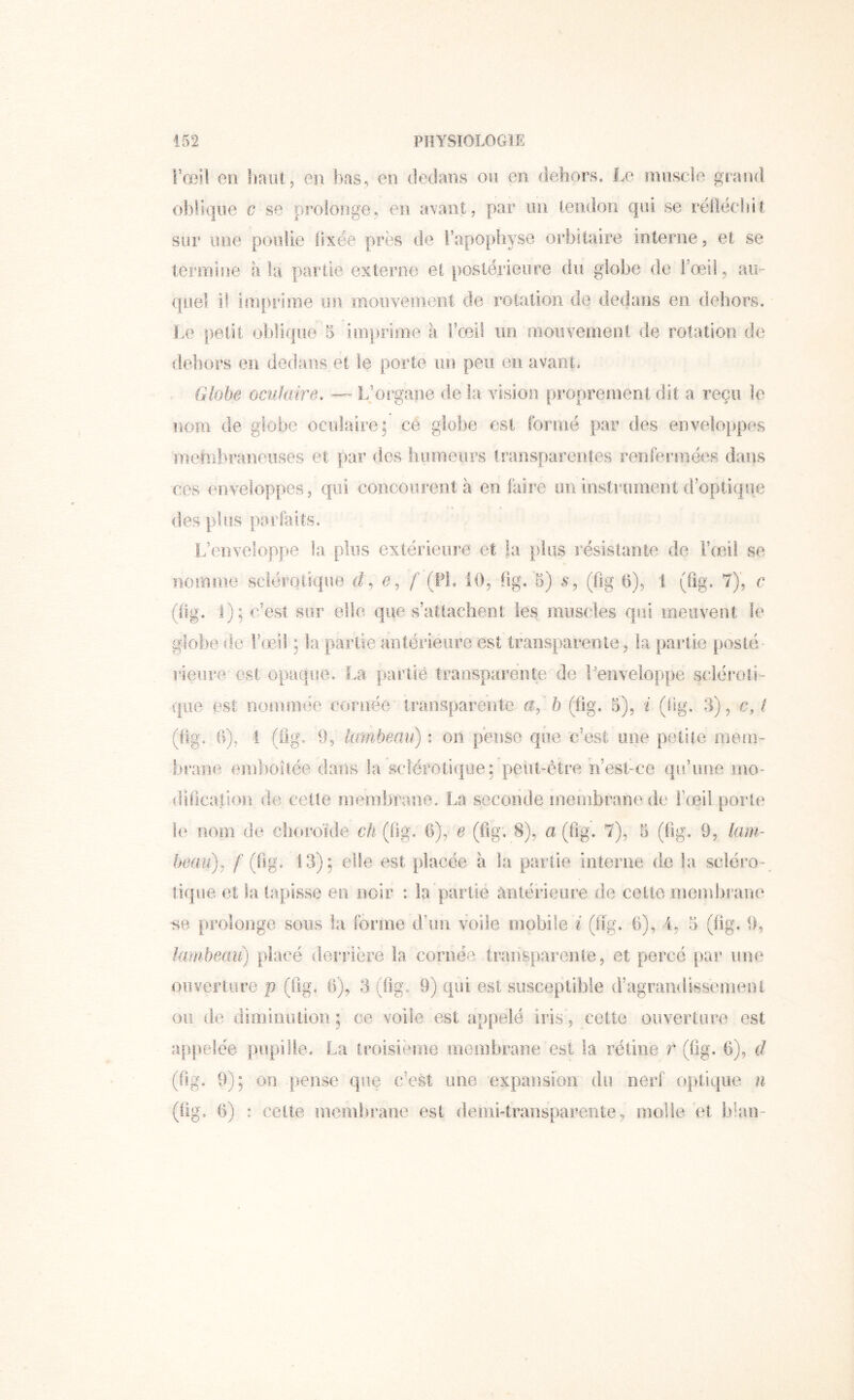 l’œil en haut, en l)as, en dedans ou en dehors. Le muscle grand oblique c se prolonge, en avant, par im teiidoii qui se réllécliit sur une poulie fixée près de l’apophyse orbitaire interne, et se termine à la partie externe et postérieure du globe de i’œii, au- quel if imprime un mouvement de rotation de decJans en dehors. I.e petit oljliqiie 5 imprime à l’œil un mouvement de rotation d(^ dehors en dedans et le porte un peu eu avant. . Globe ocukiire. — LJorgane de la vision pi’oprement dit a reçu le uom de globe oculaire; cé globe est ibruié par des enveloppes mehibraneuses et par des humeurs transparentes renfermées dans ces enveloppes, qui concourent à en faire un instrument d’optique des plus parfaits. L’enveioppe la plus extérieure et la plus résistante do rœâd se nomme sclérotique d ^ e ^ f (PL 10, (ig.'5) (iig 6), 1 (fig. 7), c (ftg. 1); c’est sur elle que s’attachent les muscles qui meuvent le globe de l’œ/d ; la partie antérieure est transparente, la partie posté- rieure est opaque. La partie transparente de Lenveloppe scléroti- que est nommée cornée transparente a,' h (hg. 5), i (lig. 3), c, t (iig. (>), 1 (ilg. 9,' lambeau) : on pense que c’est une petite mem- brane einbotiée dans la seîéroti<|ue: peut-être n’est-ee qu’une mo- ditication de cette membrane. La seconde membrane de i’ceil porte le nom de choroïde ch (fig. 6), e (fig. 8), a (fig. 7), 5 (fig. 9, kun- beau)^ f (fig, 13): elle est placée a la partie interne de la scléro-^ tique et la tapisse en noir : la partie àiitérieiire de cette membrane ■se prolonge sous la forme d’un voile mobile i (fig. fi), 4, 5 (fig. 9, lambeau) placé deî'riëre la cornée transparente, et percé par une ouverture p (fig, fi), 3 (fig. 9) qui est susceptible d’agrandissemeol ou de diminution ; ce voile est appelé iris, cette ouverture est afipelée pupille, La troisiëtne membrane est la rétine r (fig. fi), d (fig, 9); on pense que c’est une expansion du nerf optique n (fig, fi) : cette inernliranc est <lemi-traiisparente, molle et blan-