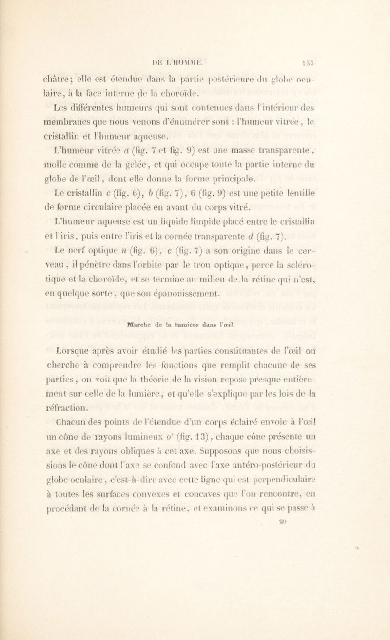 i)K t;homi>h:. !5?> diatre; elle est ëtendiie (laî]s la parile postérieure du giohe ocu- laire, à la face iiiterne de la choroïde. ^ Les différeiiles humeurs (|ui sont eontenoes dans riniérieur des membranes que ïioiis venons d’énumérer sont : rhumeur vitrée, le cristallin et FliumeuF aqueuse, .L’humeur vitrée a (hg. 7 et fig. 9) est une masse traiisparenie, molle comme de la gelée, et qui occupe toute la partie interne du globe de l’œil, dont elle donne la forme principale. Le cristallin c (fig. 6), h (fig, 7), 6 (lig. 9) est une petite lentille de forme circulaire placée en avant du corps vitré. L’humeur aqueuse est un liquide limpide placé entre le cristaltii) et l’iris^ puis entre l’iris et la cornée transparente d (fig. 7), Le nerf optique n (fig, 6), c (fig. 7) a son origine dans le cer- veau , il pénètre dans l’orbite par le trou optique, jierce la scléro- tique et la choroïde, et se iermine au milieu de.,1a rétine qui n’est, en quelque sorte, que son épanouisse.meiit, Marche de la lumière dajîs i’oBÎI. Lorsque après avoir étudié les parties consliiuaiites de fcei! on cherche à comprendre les fonctions que remplit chacuoe de ses parties, on voit que la théorie de la vision repose presque entière- ment sur celle de la lumière, et qu’elle s’explique par les lois de la réfractioiie Chacun des points de l’étendue d’im corps éclairé envoie à rceil un cône de rayons liimineox o' (fig. 13), chaque cône présente un axe et des rayons obliques à cet axe. Supposons que nous cboisis- sions le cône dont f axe se confond avec l’axe antéro-postérieur du globe oculaire, c’est-à-dire avec cette ligne qui est perpendiculaire à toutes les surlàces convexes et concaves que l’on rencontre, eu procédant de la cornée à la rétine, et examinons ce qui se passe à 20