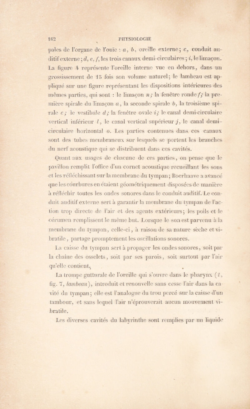 pales de rorgane de Fouïe i a, b, oreille externe; c, conduit au- ditif externe ; f\les trois canaux demi-circulaires ; le limaçon. La figure Y représente l’oreille interne vue en dehors, dans un grossissement de 15 fois son volume naturel; le lambeau est ap- pliqué sur une figure représentant les dispositions intérieures des mêmes parties, qui sont : le limaçon n; la fenêtre ronde// la pre- mière spirale du limaçon a, la seconde spirale 5, la troisième spi- rale c; le vestibule d; la fenêtre ovale i; le canal demi-circulaire vertical inférieur tf, le canal vertical supérieur/, le canal demi- circulaire borizontal o. Les parties contenues dans, ces canaux sont des tubes membraneux sur lesquels se portent les branches du nerf acoustique qui se distribuent dans ces cavités. Quant aux usages de chacune de ces parties, on pense que le pavillon remplit l’office d’un cornet acoustique recueillant les sous et les réfléchissant sur la membrane du tympan; Boerbaave a avancé que les cdiirbures en étaient géométriquement disposées de manière l\ réfléchir toutes les ondes sonores dans le conduit auditif. Le con- duit auditif externe sert à garantir la mem])rane du tympan de l’ac- tion trop directe de l’air et des agents extérieurs; les poils et le cérumen remplissent le même but. Lorsque le son est parvenu à la membrane du tympan, celle-ci, à raison de sa nature sèche etvi- bratile, partage promptement les oscillations sonores. La caisse du tympan sert à propager les ondes sonores, soit par la chaîne des osselets, soit par ses parois, soit sur tout par l’air qu’elle contient.^ La trompe gutturale de l’oreille qui s’ouvre dans le pharynx ( t y fig. 7, lambeau)y mtroduit et renouvelle sans cesse l’air dans la ca vile du tympan ; elle est Fanalogiie du trou percé sur la caisse d’im tambour, et sans lequel l’air n’éprouverait aucun mouvement vi- bratile. Les diverses cavités du labyrinthe sont remplies par un liquide