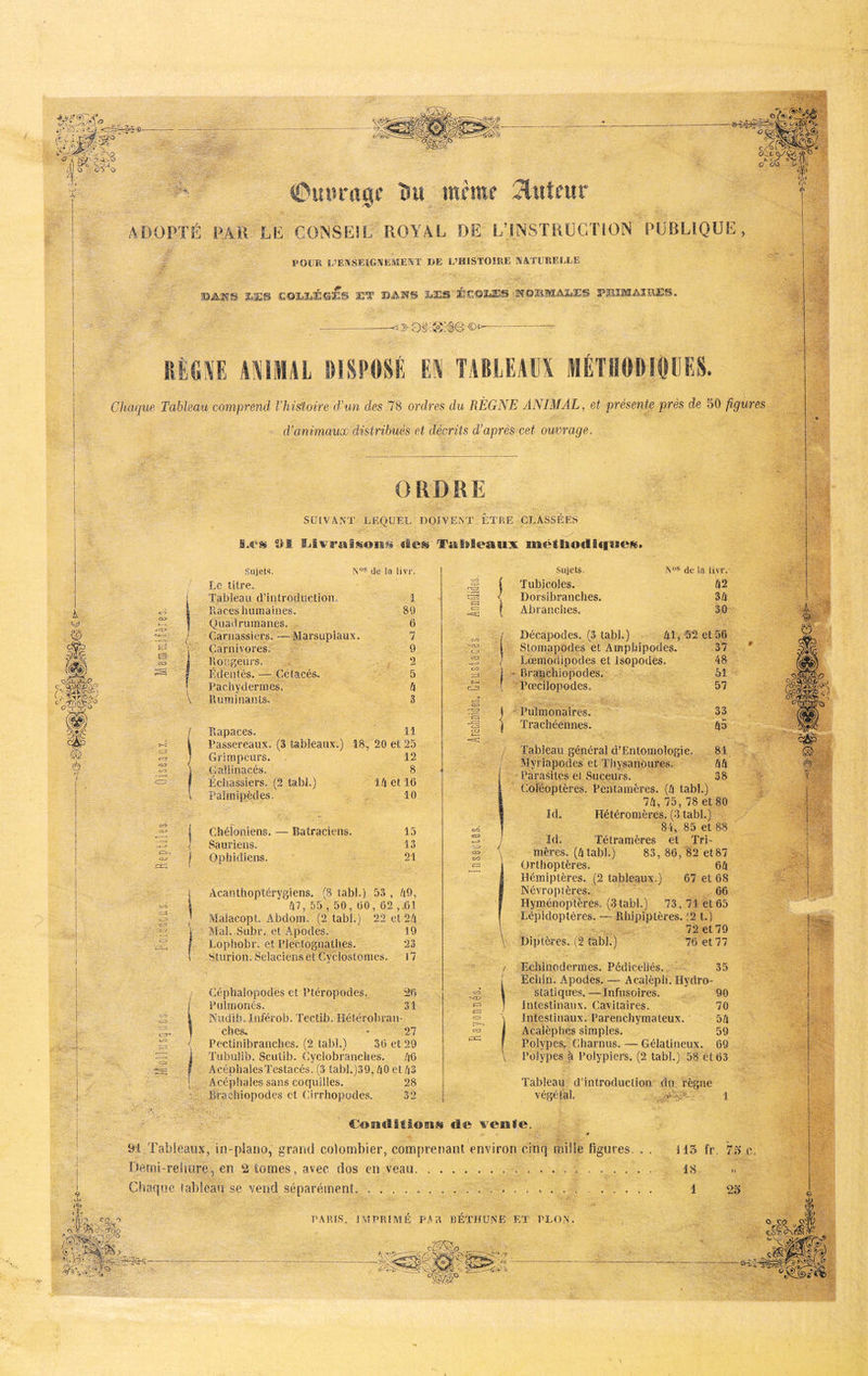 O C.O À] ‘p- 0iuîi*agr îsu wfmf Îluîfur ADOPTÉ PAR LE CONSEIL ROYAL DE L’INSTRUCTION PUBLIQUE, POUR U’EIVSEIGIVEIVÎENÏ DE L’HISTOIRE NATURELLE 2«ES €©ïâÏ4É©ES ET ïaE§ ÉÊ©EES SfQIS.MASaE^ KlG^'E ANIIAL DISPOSÉ ÏM TABLEAU MÉÏHODIOLES. Clicique Tableau comprend l’histoire d-un des 78 ordres du RÈGNE ANIMAL, et présente près de 50 figures d’animaux distribués et décrits d’après cet ouvrage. ORDRE k O c m m é 7 tO CL> S £3 CO cri <o C'O CLJ PC a/o . t/'3 . CO SUIVANT LEQUEL DOIVENT ETRE CLASSEHIS ^>1 Iilwr£&'isoii«« Ti&iileaux inetBiiodlcpaeitg. N® de la livr. Sujets. Le titre. Tableau d’iiitroduetion. Races humaines. Quadrumanes. Carnassiers. —Marsupiaux. Carnivores., Rongeurs. Édentés. — Cétacés. Pachydermes. Ruminants, / Rapaces. 1 89 6 7 9 2 5 ix 3 11 Passereaux. (3 tableaux.) 18, 20 et 2.') Grimpeurs. . 12 Gallinacés. 8 Écitassiers. (2 tabl.) U\ et 16 Palmipèdes. 10 Chéïoniens. Sauriens, OnlnRlens. Batraciens. 15 13 21 Acanlhoptérygiens. (8 tabl.) 53 , AO. A7, 55 , 50, 60, 62 ,.61 AlaiacopL Abdom. (2 tabl.) 22 et 2A Mal. Subr. et Apodes. 19 Lophobr. et Plectognathes. 23 Sturion. Sélaciens et Cvclostomes. 17 Céphalopodes et Ptéropodes. 26 ITilinonés. 31 Nudib. Inférob. Tectib. Hétérobran- ches. • 27 Pectinibranches. (2 tabl.) 36 et 29 Tubulib. Sculib. Cyclobranches. A6 AcéphalesTestacés. (3 tabl.)39, AO et A3 Acéphales sans coquilles. 28 ■ Brachiopodes et Cirrhopodes. 32 oO OJ) c-o -OJ) c-Zi CO CO pi CO G? <03 CO C=3 CO (=3’ 1=3 ccJ PP; Sujets. Tubicoles. Dorsibranches. Abranclies. N'’® de la livr. A2 3A 30 Décapodes. (3 tabl.) Al, 52 et 56 Stomapodes et Amphipodes. 37 Lœmodipodes et Isopodes. 48 - Branchiopodes. 61 Pœcilopodes. 57 Pulmonaires. Trachéennes. 33 A5 Tableau général d’Entomologie. 81 Myriapodes et Thysanoures. AA Parasites ei Suceurs. 38 Coléoptères. Pentamères. (A tabl.) 7A, 75, 78 et 80 Id. Hétéromères. (3 tabl.) 84, 85 et 88 Id, Tétranières et Tri- mère.s. (A tabl.) 83, 86, 82 et 87 Orthoptères. 6A Hémiptères. (2 tableaux.) 67 et 68 Névropières. 66 Hyménoptères,. (3 tabl.) 73, 71 et 65 Lépidoptères. — Rhipiptère.s. :2t.) 72 et 79 Diptères. (2 tabl.) 76 et 77 Echiiiodermes. Pédicellés. 35 Echin. Apodes. — Acaîèph. Hydro- statiques.— Infusoires. 90 Intestinaux. Cavitaires. 70 Intestinaux. Parenchymateux. 5A Acalèplies simples. 59 Polypes. Charnus. — Gélatineux. 69 Polypes à Polypiers. (2 tabl.) 58 et 63 Tableau d’introduction du règne végétal. 1 de veille. .t rî? Dl.Tableaux, in-plaiio, grand colombier, comprenant environ cinq mille figures. Demi-reliüre, en 2 lomes, avec dos en veau Chaque tableau se vend séparément, I- lO .C/? O PARIS. IMPRIMÉ PAR BÉTHUNE ET PLON. 'i: 115 fr 18 1 7l> C, 25 O e O V; ruT ‘ ' ^