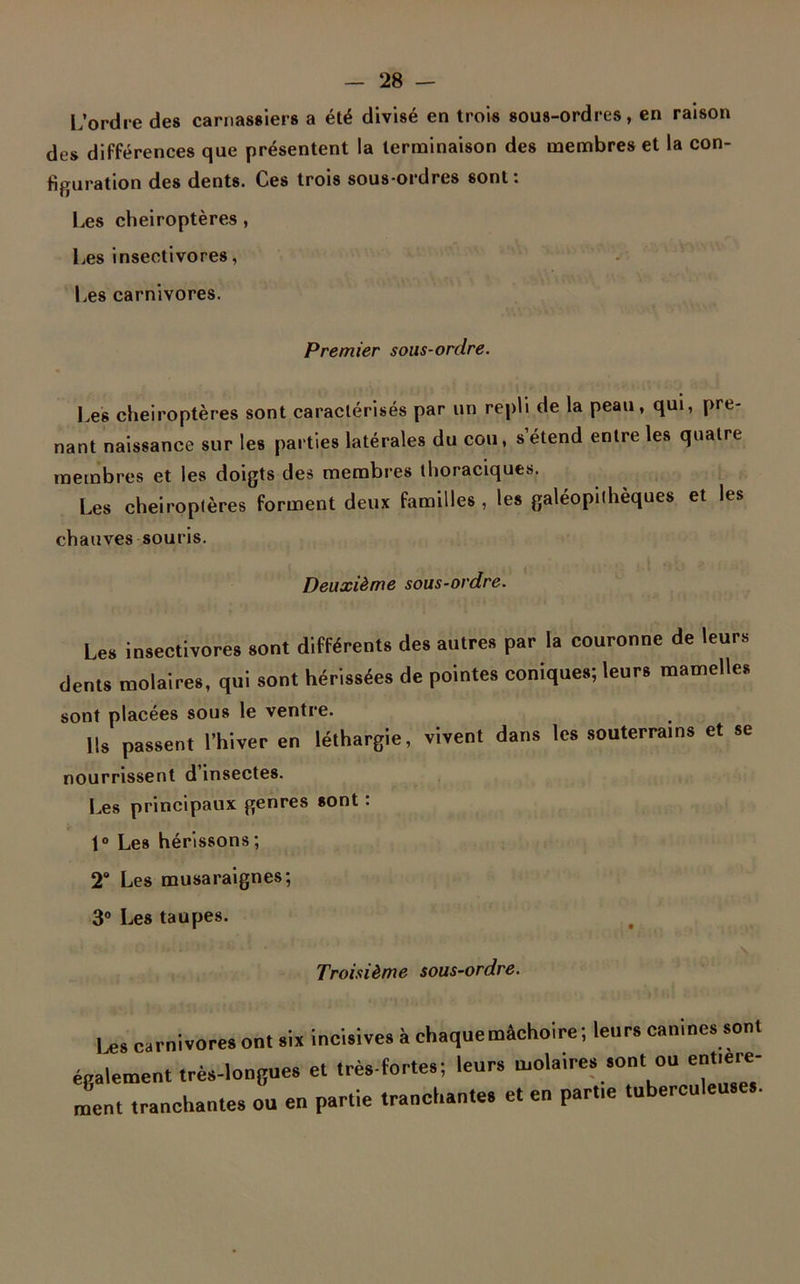 L’ordre des carnassiers a été divisé en trois sous-ordres, en raison des différences que présentent la terminaison des membres et la con- figuration des dents. Ces trois sous-ordres sont : Les chéiroptères, Iæs insectivores, Les carnivores. Premier sous-ordre. Les chéiroptères sont caractérisés par un repli de la peau, qui, pre- nant naissance sur les parties latérales du cou, s'étend entre les quatre membres et les doigts des membres thoraciques. Les chéiroptères forment deux familles , les galéopithèques et les chauves souris. Deuxième sous-ordre. Les insectivores sont différents des autres par la couronne de leurs dents molaires, qui sont hérissées de pointes coniques; leurs mamelles sont placées sous le ventre. Us passent l’hiver en léthargie, vivent dans les souterrains et se nourrissent d’insectes. Les principaux genres sont : 1° Les hérissons; 2° Les musaraignes; 3° Les taupes. Troisième sous-ordre. Les carnivores ont six incisives à chaque mâchoire; leurs canines sont également très-longues et très-fortes; leurs molaires sont ou entière- ment tranchantes ou en partie tranchante» et en parue tuberculeuses.