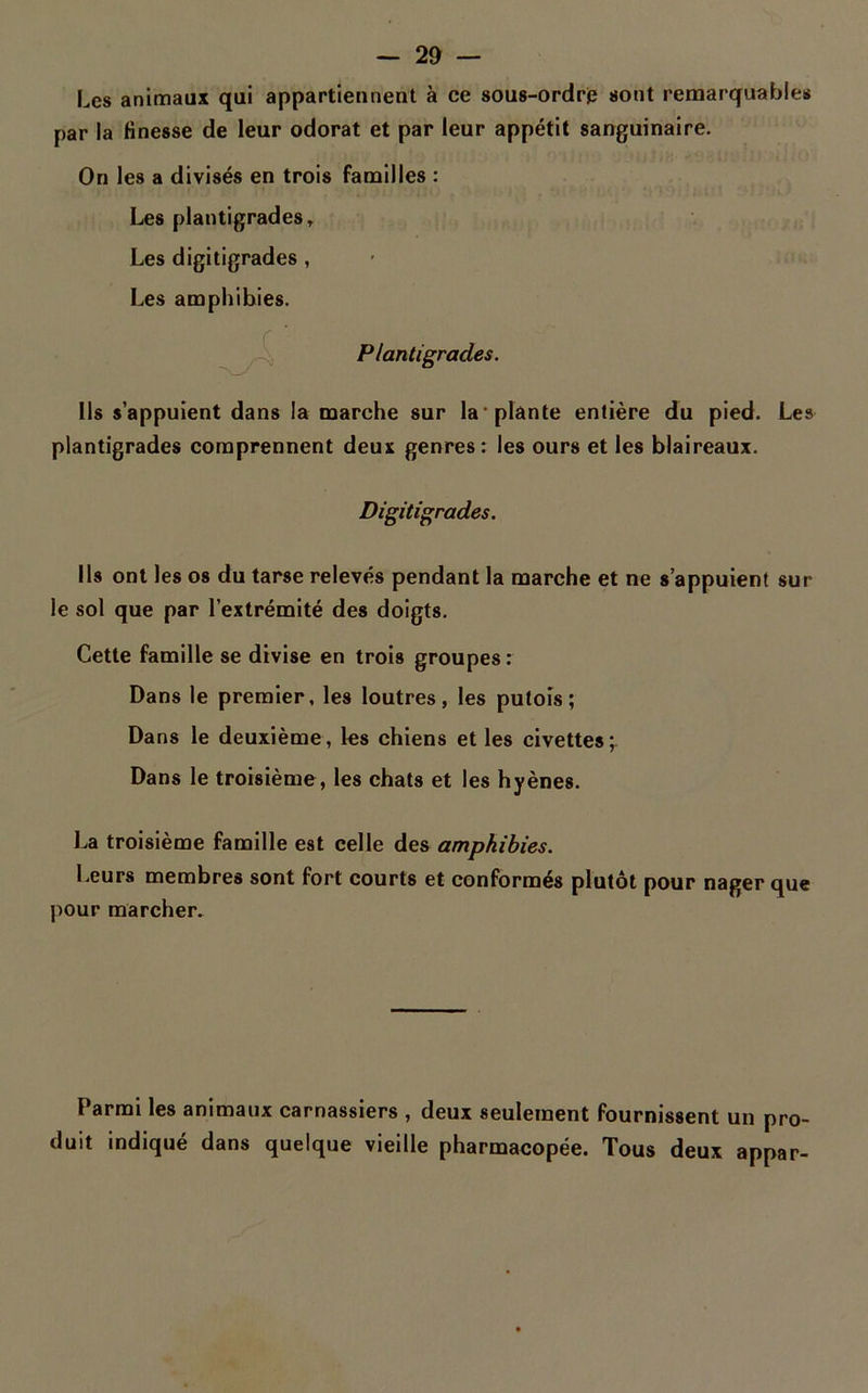 Les animaux qui appartiennent à ce sous-ordre sont remarquables par la Hnesse de leur odorat et par leur appétit sanguinaire. On les a divisés en trois familles : Les plantigrades. Les digitigrades , Les amphibies. Plantigrades. Ils s’appuient dans la marche sur la* plante entière du pied. Les plantigrades comprennent deux genres: les ours et les blaireaux. Digitigrades. Ils ont les os du tarse relevés pendant la marche et ne s’appuient sur le sol que par l’extrémité des doigts. Cette famille se divise en trois groupes: Dans le premier, les loutres, les putois; Dans le deuxième, les chiens et les civettes; Dans le troisième, les chats et les hyènes. La troisième famille est celle des amphibies. Leurs membres sont fort courts et conformés plutôt pour nager que pour marcher. Parmi les animaux carnassiers , deux seulement fournissent un pro duit indiqué dans quelque vieille pharmacopée. Tous deux appar-