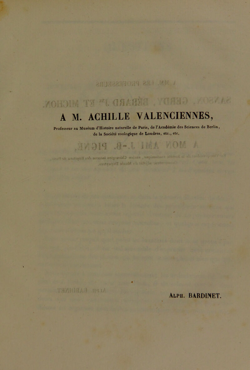 A M. ACHILLE VALENCIENNES, Professeur au Muséum cTHistoire naturelle de Paris, de 1 Academie des Sciences de Berlin, de la Société zoologique de Londres, etc., etc. n * jt'srliqofl :/>!> 3iH3lni H9iy lUiiiD n-<« • !»>• .■ ii • .lîTtlTin:ifl : ’i  n .11 >1' « T.'tf/lj