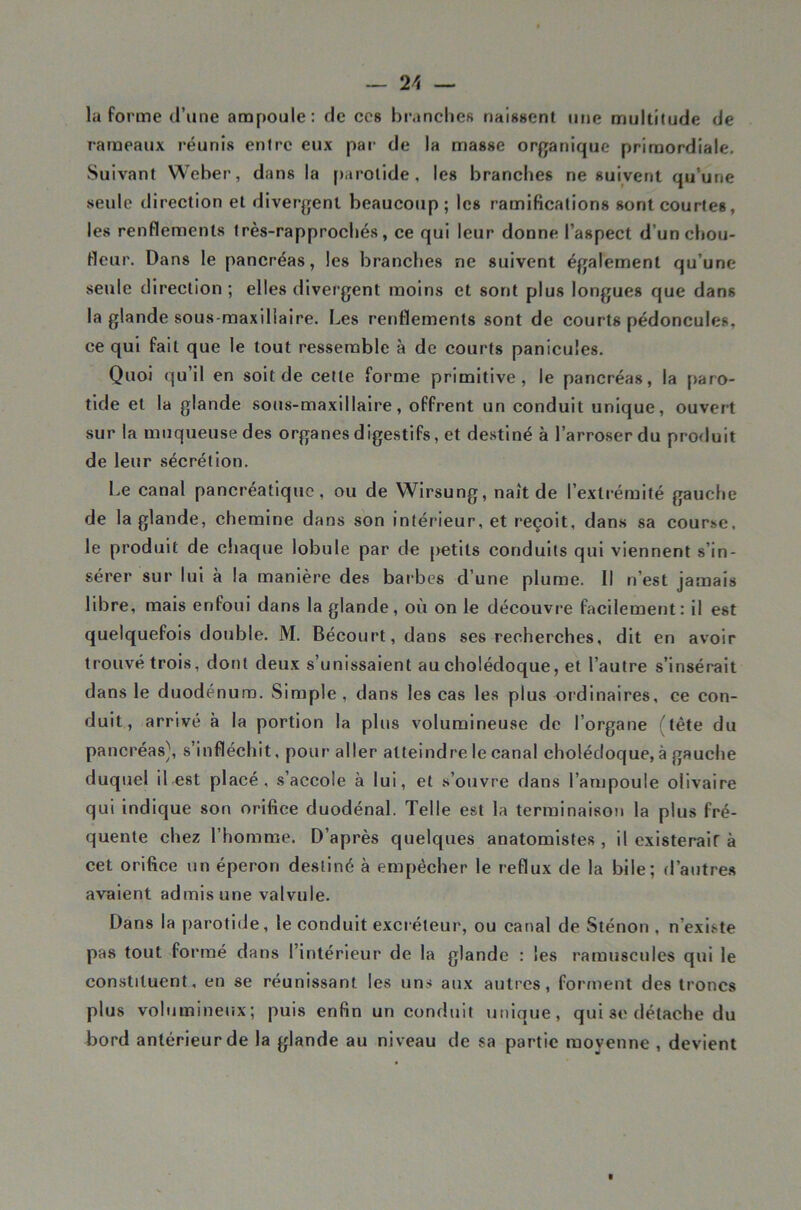 la forme d’une ampoule: de ces branchefi naissent une multitude de rameaux réunis entre eux par de la masse orfjanique primordiale. Suivant Weber, dans la parotide, les branches ne suivent qu’une seule direction et divergent beaucoup; les ramifications sont courtes, les renflements très-rapprocbés, ce qui leur donne l’aspect d’uncbou- flcur. Dans le pancréas, les branches ne suivent également qu’une seule direction; elles divergent moins et sont plus longues que dans la glande sous-maxillaire. Les renflements sont de courts pédoncules, ce qui fait que le tout ressemble à de courts panicules. Quoi qu’il en soit de cette forme primitive, le pancréas, la paro- tide et la glande sous-maxillaire, offrent un conduit unique, ouvert sur la muqueuse des organes digestifs, et destiné à l’arroser du pro<luit de leur sécrétion. Le canal pancréatique, ou de Wirsung, naît de l’extrémité gauche de la glande, chemine dans son intérieur, et reçoit, dans sa course, le produit de chaque lobule par de [>etits conduits qui viennent s’in- sérer sur lui à la manière des barbes d’une plume. Il n’est jamais libre, mais enfoui dans la glande, où on le découvre facilement: il est quelquefois double. M. Bécourt, dans ses recherches, dit en avoir trouvé trois, dont deux s’unissaient au cholédoque, et l’autre s’insérait dans le duodénum. Simple, dans les cas les plus ordinaires, ce con- duit, arrivé à la portion la plus volumineuse de l’organe (tête du pancréas^, s’infléchit, pour aller atteindre le canal cholédoque, à gauche duquel il est placé, s’accole à lui, et s’ouvre dans l’ampoule olivaire qui Indique son orifice duodénal. Telle est la terminaison la plus fré- quente chez l’homme. D’après quelques anatomistes, il existeralr à cet orifice un éperon destiné à empêcher le reflux de la bile; d’autre.s avaient admis une valvule. Dans la parotide, le conduit excréteur, ou canal de Sténon , n’existe pas tout formé dans l’intérieur de la glande : les ramuscules qui le constituent, en se réunissant les uns aux autres, forment des troncs plus vobimineux; puis enfin un conduit unique, qui se détache du bord antérieur de la glande au niveau de sa partie moyenne , devient