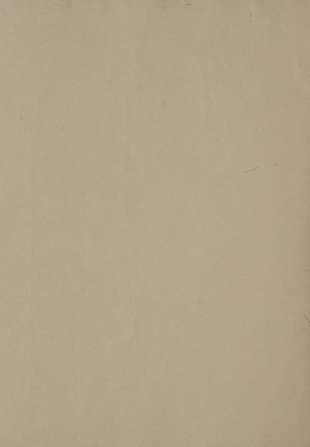 digitised image 2