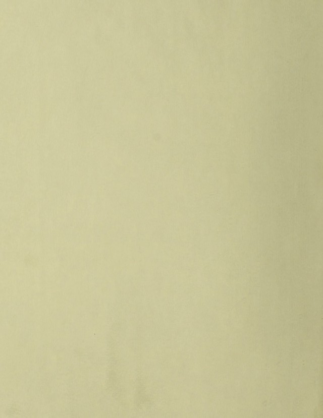 digitised image 2