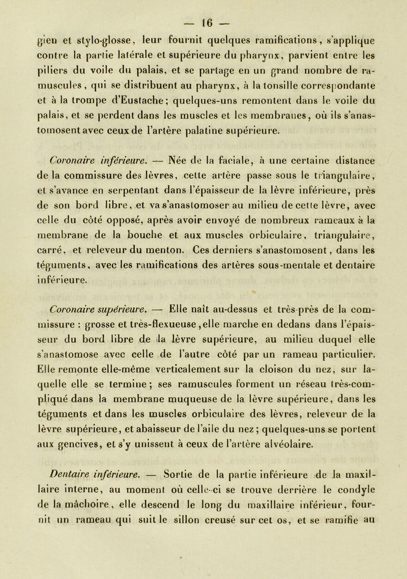 gien et stylo-glosse, leur fournit quelques ramifications, s’applique contre la partie latérale et supérieure du pharynx, parvient entre les piliers du voile du palais, et se partage en un grand nombre de ra- muscules, qui se distribuent au pharynx, à la tonsille correspondante et à la trompe d’Eustache ; quelques-uns remontent dans le voile du palais, et se perdent dans les muscles et les membranes, où ils s’anas- tomosent avec ceux de l’artère palatine supérieure. Coronaire inférieure. — Née de la faciale, à une certaine distance de la commissure des lèvres, celte artère passe sous le triangulaire, et s’avance en serpentant dans l’épaisseur de la lèvre inférieure, près de son bord libre, et va s’anastomoser au milieu de cette lèvre, avec celle du côté opposé, après avoir envoyé de nombreux rameaux à la membrane de la bouche et aux muscles orbiculaire, triangulaire, carré, et releveur du menton. Ces derniers s’anastomosent, dans les téguments, avec les ramifications des artères sous-mentale et dentaire inférieure. Coronaire supérieure. — Elle naît au-dessus et très près de la com- missure : grosse et très-flexueuse ,elle marche en dedans dans l’épais- seur du bord libre de la lèvre supérieure, au milieu duquel elle s’anastomose avec celle de l’autre côté par un rameau particulier. Elle remonte elle-même verticalement sur la cloison du nez, sur la- quelle elle se termine; ses ramuscules forment un réseau très-com- pliqué dans la membrane muqueuse de la lèvre supérieure, dans les téguments et dans les muscles orbiculaire des lèvres, releveur de la lèvre supérieure, etabaisseur de l’aile du nez; quelques-uns se portent aux gencives, et s’y unissent à ceux de l’artère alvéolaire. Dentaire inférieure. — Sortie de la partie inférieure de la maxil- laire interne, au moment où celle-ci se trouve derrière le condyle de la mâchoire, elle descend le long du maxillaire inférieur, four- nit un rameau qui suit le sillon creusé sur cet os, et se ramifie au