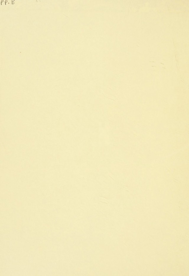 digitised image 2