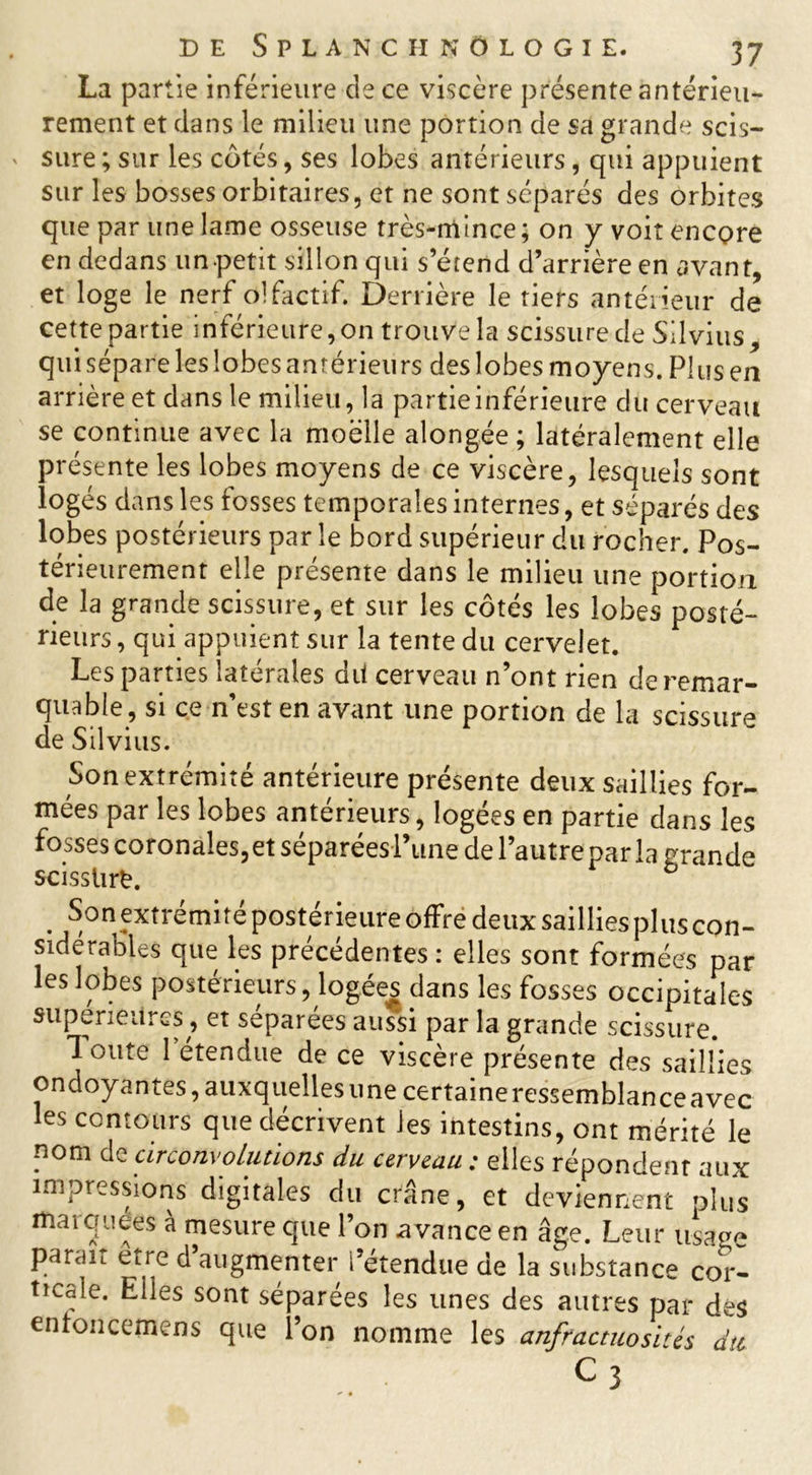 La partie inférieure de ce viscère présente antérieu- rement et dans le milieu une portion de sa grande scis- sure; sur les côtés, ses lobes antérieurs, qui appuient sur les bosses orbitaires, et ne sont séparés des orbites que par une lame osseuse très-mince; on y voit encore en dedans un petit sillon qui s’étend d’arrière en avant, et loge le nerf olfactif. Derrière le tiers antérieur de cette partie inférieure,on trouve la scissure de Silvius qui sépare les lobes antérieurs des lobes moyens. Plus en arrière et dans le milieu, la partie inférieure du cerveau se continue avec la moelle alongée ; latéralement elle présente les lobes moyens de ce viscère, lesquels sont logés dans les fosses temporales internes, et séparés des lobes postérieurs par le bord supérieur du rocher. Pos- térieurement elle présente dans le milieu une portion de la grande scissure, et sur les côtés les lobes posté- rieurs , qui appuient sur la tente du cervelet. Les parties latérales dit cerveau n’ont rien de remar- quable, si ce n’est en avant une portion de la scissure de Silvius. Son extrémité antérieure présente deux saillies for- mées par les lobes antérieurs, logées en partie dans les fosses coronales, et séparées l’une de l’autre par la grande scissürfc. ù . Son extrémité postérieure offre deux saillies plus con- sidérables que les précédentes : elles sont formées par les lobes postérieurs, logées dans les fosses occipitales supérieures, et séparées aussi par la grande scissure. Toute letendue de ce viscère présente des saillies ondoyantes, auxquelles une certaineressemblance avec les contours que décrivent les intestins, ont mérité le nom de circonvolutions du cerveau: elles répondent aux impressions digitales du crâne, et deviennent plus marquées à mesure que l’on avance en âge. Leur lisage parait etre d’augmenter l’étendue de la substance cor- ticale. Elles sont séparées les unes des autres par des entoncemens que l’on nomme les anfractuosités du; C3