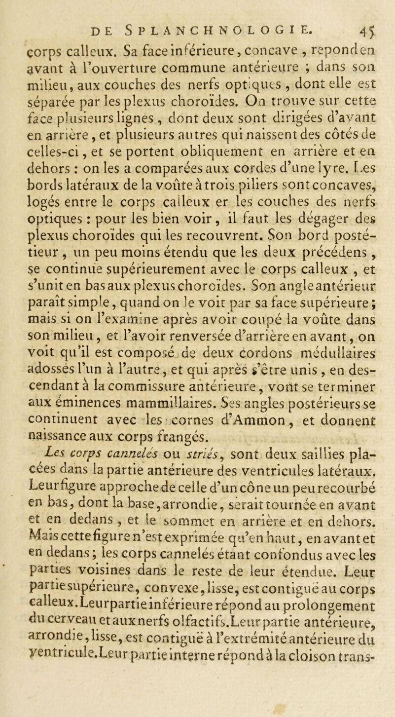 çorps calleux. Sa face inférieure, concave , répond en avant à l’ouverture commune antérieure ; dans son milieu, aux couches des nerfs optiques , dont elle est séparée par les plexus choroïdes. On trouve sur cette face plusieurs lignes , dont deux sont dirigées d’avant en arrière , et plusieurs autres qui naissent des côtés de celles-ci, et se portent obliquement en arrière et en dehors : on les a comparées aux cordes d’une lyre. Les bords latéraux de la voûte à trois piliers sont concaves, logés entre le corps calleux er les couches des nerfs optiques : pour les bien voir, il faut les dégager des plexus choroïdes qui les recouvrent. Son bord posté- tieur , un peu moins étendu que les deux précédens, se continue supérieurement avec le corps calleux , et s’uniten basaux plexuschorcïdes. Son angle antérieur paraît simple, quand on le voit par sa face supérieure ; mais si on l’examine après avoir coupé la voûte dans son milieu , et l’avoir renversée d’arrière en avant, on voit qu’il est composé de deux cordons médullaires adossés l’un à l’autre, et qui après s’être unis , en des- cendant à la commissure antérieure, vont se terminer aux éminences mammillaires. Ses angles postérieurs se continuent avec les cornes d’Ammon, et donnent naissance aux corps frangés. Les corps canndés ou striés, sont deux saillies pla- cées dans la partie antérieure des ventricules latéraux. Leurfîgure approche de celle d’un cône un peu recourbé en bas, dont la base, arrondie, serait tournée en avant et en dedans , et le sommet en arrière et en dehors. Mais cette figure n’est exprimée qu’en haut, en avant et en dedans ; les corps cannelés étant confondus avec les parties voisines dans le reste de leur étendue. Leur partie supérieure, convexe, lisse, est contiguë au corps calleux. Leurpartie inférieure répond au prolongement du cerveau et aux nerfs olfactifs.Leur partie antérieure, arrondie, lisse, est contiguë à l’extrémité antérieure du yentricule.Leur partie interne répond à la cloison trans-