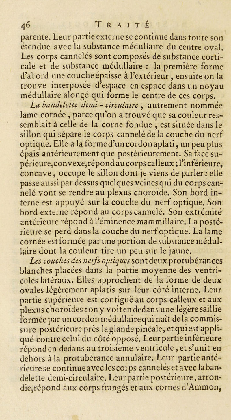 parente. Leur partie externe se continue dans toute son étendue avec la substance médullaire du centre oval. Les corps cannelés sont composés de substance corti- cale et de substance médullaire ; la première forme d’abord une couche épaisse à l’extérieur, ensuite on la trouve interposée d’espace en espace dans un noyau médullaire alongé qui forme le centre de ces corps. Lu bandtletu demi - circulaire , autrement nommée lame cornée, parce qu’on a trouvé que sa couleur res- semblait à celle de la corne fondue , est située dans le sillon qui sépare le corps cannelé de la couche du nerf optique. Elle a la forme d’un cordon aplati, un peu plus épais antérieurement que postérieurement. Sa face su- périeure,convexe,répond au corps calleux; l’inférieure, concave , occupe le sillon dont je viens de parler : elle passe aussi par dessus quelques veines qui du corps can- nelé vont se rendre au plexus choroïde. Son bord in- terne est appuyé sur la couche du nerf optique. Son bord externe répond au corps cannelé. Son extrémité antérieure répond à l’éminence mammiîlaire. La posté- rieure se perd dans la couche du nerf optique. La lame cornée estformée par une portion de substance médul- laire dont la couleur tire un peu sur le jaune. Les couches des nerfs optiques sont deux protubérances blanches placées dans la partie moyenne des ventri- cules latéraux. Elles approchent de la forme de deux ovales légèrement aplatis sur leur côté interne. Leur partie supérieure est contiguë au corps calleux et aux plexus choroïdes :ony voiten dedans une légère saillie formée par un cordon médullaire qui naît de la commis- sure postérieure près la glande pinéale, et qui est appli- qué contre celui du côté opposé. Leur partie intérieure répond en dedans au troisième ventricule, et s’unit en dehors à la protubérance annulaire. Leur partie anté- rieure se continue avec les corps cannelés et avec la ban- delette demi-circulaire. Leur partie postérieure, arron- die,répond aux corps frangés et aux cornes d’Ammon,