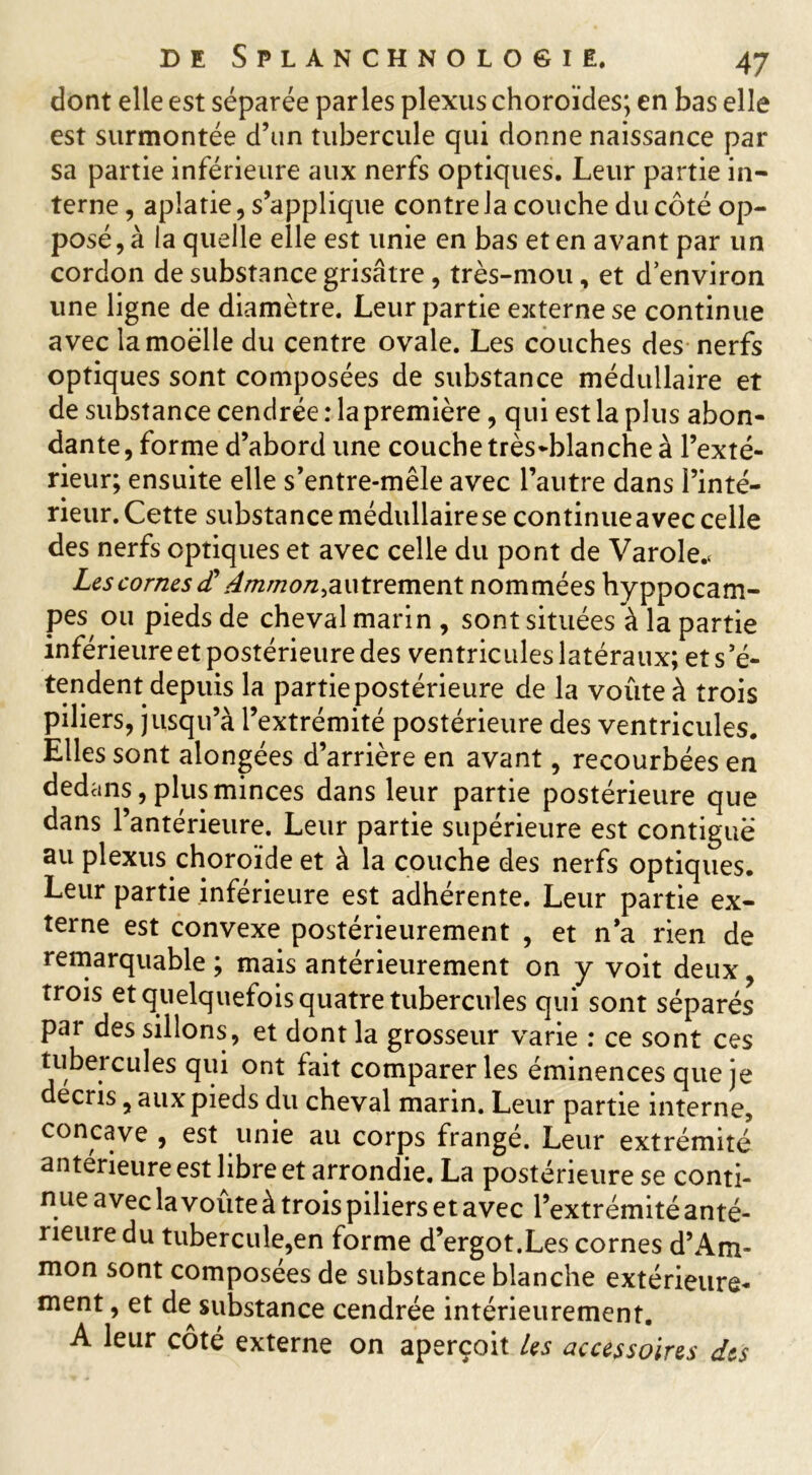 dont elle est séparée parles plexus choroïdes; en bas elle est surmontée d’un tubercule qui donne naissance par sa partie inférieure aux nerfs optiques. Leur partie in- terne , aplatie, s’applique contre la couche du côté op- posé, à la quelle elle est unie en bas et en avant par un cordon de substance grisâtre, très-mou , et d’environ une ligne de diamètre. Leur partie externe se continue avec la moelle du centre ovale. Les couches des nerfs optiques sont composées de substance médullaire et de substance cendrée : la première, qui est la plus abon- dante , forme d’abord une couche très-blanche à l’exté- rieur; ensuite elle s’entre-mêle avec l’autre dans l’inté- rieur. Cette substance médullaire se continue avec celle des nerfs optiques et avec celle du pont de Varole.< Les cornes £ Ammon,autrement nommées hyppocam- pes ou pieds de cheval marin, sont situées à la partie inférieure et postérieure des ventricules latéraux; et s’é- tendent depuis la partie postérieure de la voûte à trois piliers, jusqu’à l’extrémité postérieure des ventricules. Elles sont alongées d’arrière en avant, recourbées en dedans, plus minces dans leur partie postérieure que dans l’antérieure. Leur partie supérieure est contiguë au plexus choroïde et à la couche des nerfs optiques. Leur partie inférieure est adhérente. Leur partie ex- terne est convexe postérieurement , et n’a rien de remarquable ; mais antérieurement on y voit deux, trois et quelquefois quatre tubercules qui sont séparés par des sillons, et dont la grosseur varie : ce sont ces tubercules qui ont fait comparer les éminences que je décris, aux pieds du cheval marin. Leur partie interne, concave , est unie au corps frangé. Leur extrémité anterieure est libre et arrondie. La postérieure se conti- nue avec la voûte à trois piliers et avec l’extrémité anté- rieure du tubercule,en forme d’ergot.Les cornes d’Am- mon sont composées de substance blanche extérieure- ment , et de substance cendrée intérieurement. A leur côté externe on aperçoit Us accessoires dis