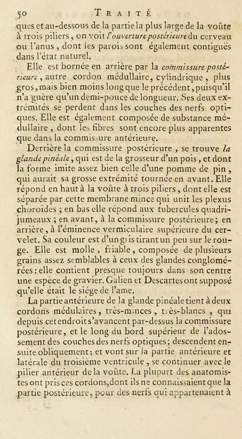 ques et au-dessous de la partie la plus large de la voûte à trois piliers, on voit touverture postérieure du cerveau ou l’anus , dont les parois sont également contiguës dans l’état naturel. Elle est bornée en arrière par la commissure posté- rieure , autre cordon médullaire, cylindrique , plus gros,mais bien moins long que le précédent puisqu’il n’a guère qu’un demi-pouce de longueur. Ses deux ex- trémités se perdent dans les couches des nerfs opti- ques. Elle est également composée de substance mé- dullaire , dont le* fibres sont encore plus apparentes que dans la commissure antérieure. Derrière la commissure postérieure , se trouve la glandepinéale, qui est de la grosseur d’un pois , et dont la forme imite assez bien celle d’une pomme de pin , qui aurait sa grosse extrémité tournée en avant. Elle répond en haut à la voûte à trois piliers , dont elle est séparée par cette membrane mince qui unit les plexus choroïdes ; en bas elle répond aux tubercules quadri- jumeaux ; en avant, à la commissure postérieure; en arrière, à l’éminence vermiculaire supérieure du cer- velet. Sa couleur est d’un gi is tirant un peu sur le rou- ge. Elle est molle , friable, composée de plusieurs grains assez semblables à ceux des glandes conglomé- rées: elle contient presque toujours dans son centre une espèce de gravier. Galien et Descartes ont supposé qu’elle était le siège de l’ame. La partie antérieure de la glande pinéale tient à deux cordons médulaires, très-minces, tiès-blancs , qui depuis cet endroit s’avancent par-dessus la commissure postérieure, et le long du bord supérieur de l’ados- sement des couches des nerfs optiques; descendent en- suite obliquement; et vont sur la partie antérieure et latérale du troisième ventricule , se continuer avec le pilier antérieur delà voûte. La plupart des anatomis- tes ont pris ces cordons,dont ils ne connaissaient que la partie postérieure, pour des nerfs qui appartenaient à