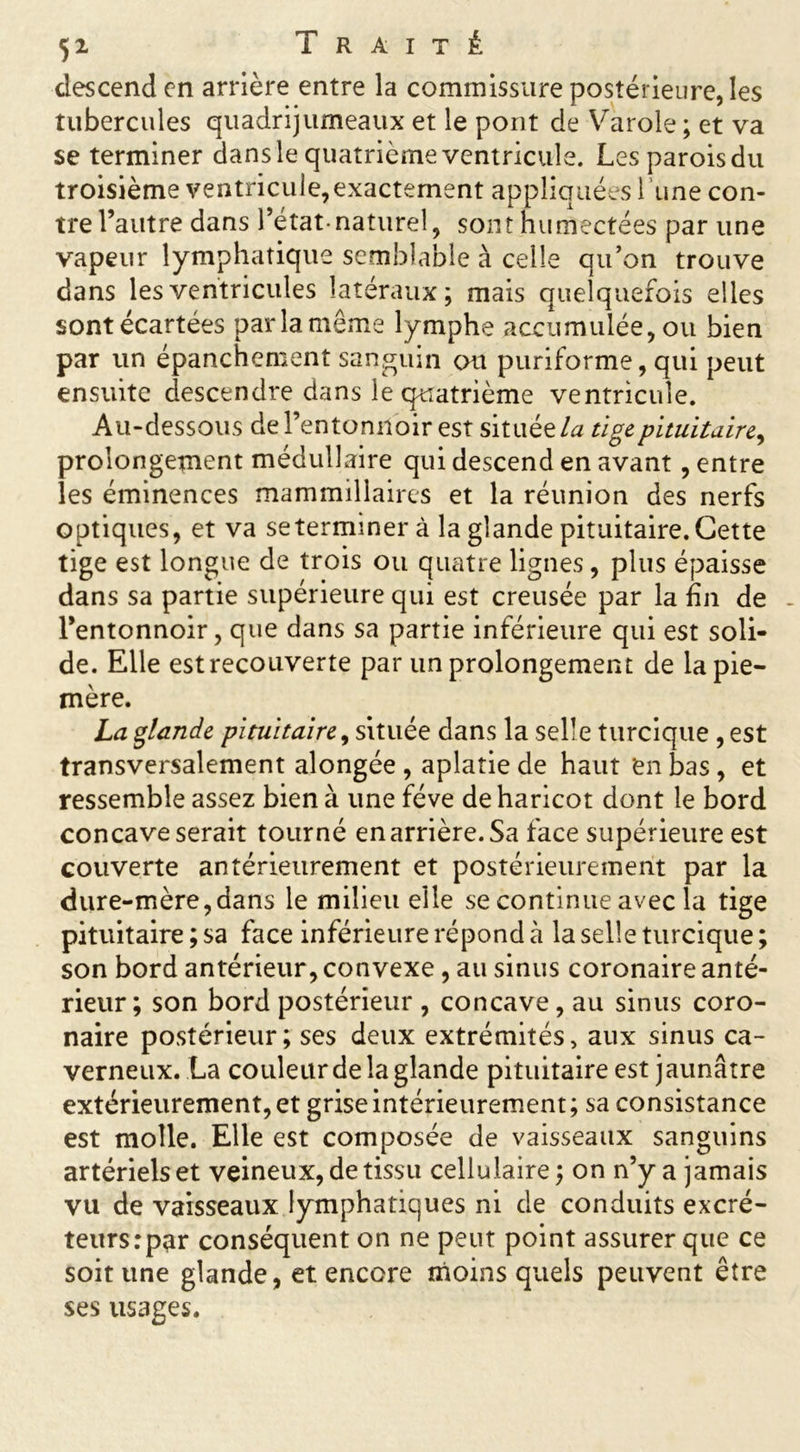 descend en arrière entre la commissure postérieure, les tubercules quadrijumeaux et le pont de Varole ; et va se terminer dans le quatrième ventricule. Les parois du troisième ventricuie,exactement appliquées l’une con- tre l’autre dans l’état-naturel, sont humectées par une vapeur lymphatique semblable à celle qu’on trouve dans les ventricules latéraux; mais quelquefois elles sont écartées par la même lymphe accumulée, ou bien par un épanchement sanguin ou puriforme, qui peut ensuite descendre dans le quatrième ventricule. Au-dessous de l’entonnoir est située/a tige pituitaire, prolongement médullaire qui descend en avant, entre les éminences mammillaires et la réunion des nerfs optiques, et va seterminerà la glande pituitaire. Cette tige est longue de trois ou quatre lignes , plus épaisse dans sa partie supérieure qui est creusée par la fin de l’entonnoir, que dans sa partie inférieure qui est soli- de. Elle est recouverte par un prolongement de la pie- mère. La glande pituitaire, située dans la selle turcique , est transversalement alongée , aplatie de haut 'en bas , et ressemble assez bien à une fève de haricot dont le bord concave serait tourné en arrière. Sa face supérieure est couverte antérieurement et postérieurement par la dure-mère,dans le milieu elle se continue avec la tige pituitaire ; sa face inférieure répond à la selle turcique ; son bord antérieur, convexe, au sinus coronaire anté- rieur ; son bord postérieur , concave, au sinus coro- naire postérieur; ses deux extrémités, aux sinus ca- verneux. La couleur de la glande pituitaire est jaunâtre extérieurement, et grise intérieurement; sa consistance est molle. Elle est composée de vaisseaux sanguins artériels et veineux, de tissu cellulaire ; on n’y a jamais vu de vaisseaux lymphatiques ni de conduits excré- teurs :p^r conséquent on ne peut point assurer que ce soit une glande, et encore moins quels peuvent être ses usages.
