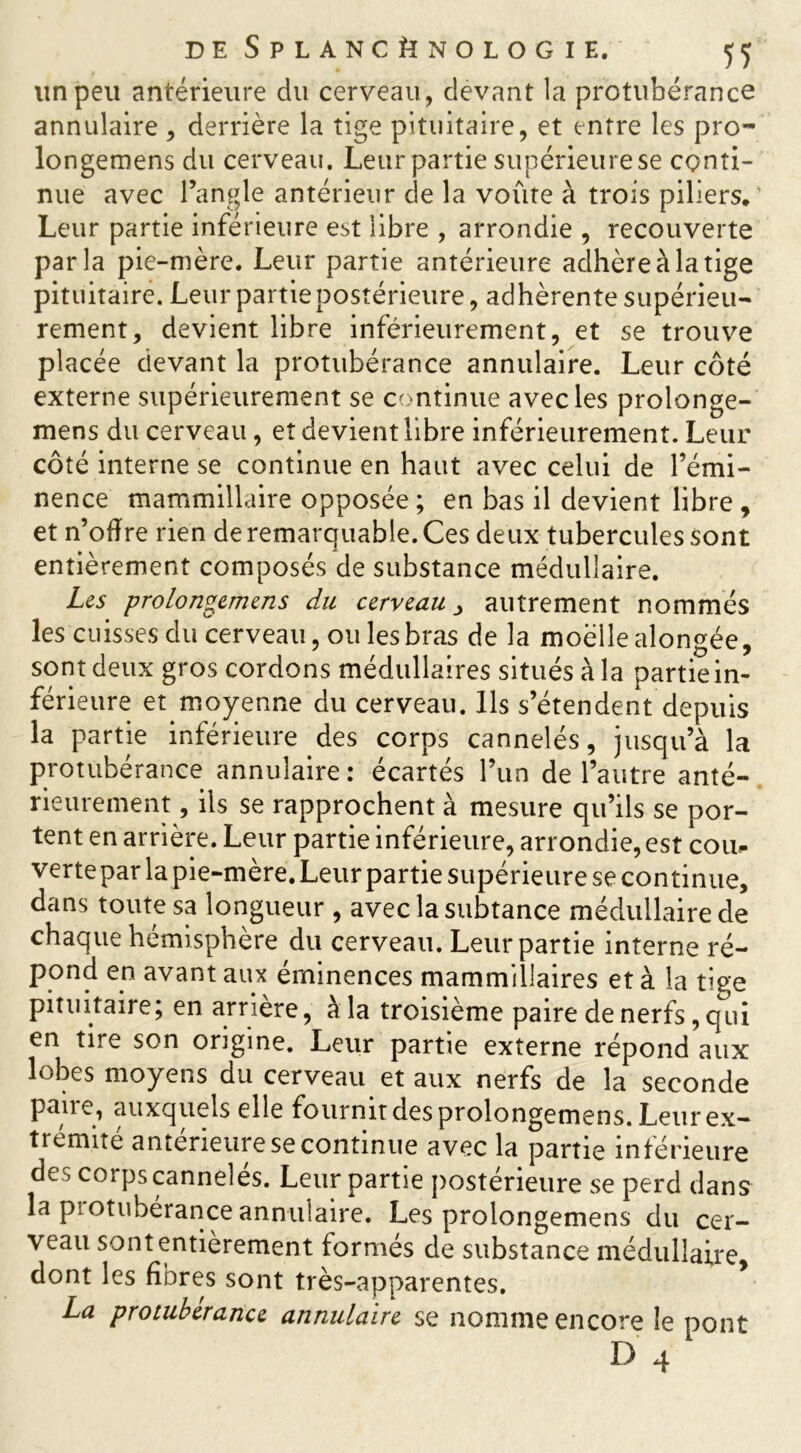 lin peu antérieure du cerveau, devant la protubérance annulaire , derrière la tige pituitaire, et entre les pro- longeroens du cerveau. Leur partie supérieure se conti- nue avec l’angle antérieur de la voûte à trois piliers* Leur partie inférieure est libre , arrondie , recouverte parla pie-mère. Leur partie antérieure adhère à la tige pituitaire. Leur partie postérieure, adhérente supérieu- rement, devient libre inférieurement, et se trouve placée devant la protubérance annulaire. Leur côté externe supérieurement se continue avec les prolonge- mens du cerveau, et devient libre inférieurement. Leur côté interne se continue en haut avec celui de l’émi- nence mammillaire opposée ; en bas il devient libre , et n’offre rien de remarquable. Ces deux tubercules sont entièrement composés de substance médullaire. Les prolongemens du cerveauautrement nommés les cuisses du cerveau, ou les bras de la moelle alongée, sont deux gros cordons médullaires situés à la partie in- férieure et moyenne du cerveau. Ils s’étendent depuis la partie inférieure des corps cannelés, jusqu’à la protubérance annulaire: écartés l’un de l’autre anté- rieurement , ils se rapprochent à mesure qu’ils se por- tent en arrière. Leur partie inférieure, arrondie, est cou. vertepar la pie-mère. Leur partie supérieure se continue, dans toute sa longueur , aveclasubtance médullaire de chaque hémisphère du cerveau. Leur partie interne ré- pond en avant aux éminences marnrnillaires et à la tige pituitaire; en arrière, à la troisième paire de nerfs, qui en tire son origine. Leur partie externe répond aux lobes moyens du cerveau et aux nerfs de la seconde paire, auxquels elle fournit des prolongemens. Leur ex- trémité antérieure se continue avec la partie inférieure de^ corps cannelés. Leur partie postérieure se perd dans la protubérance annulaire. Les prolongemens du cer- veau sont entièrement formés de substance médullaire, dont les fibres sont très-apparentes. * La protubérance annulaire se nomme encore le pont