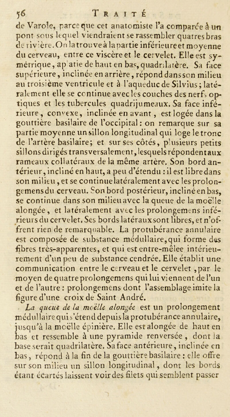 de Varole, parce que cet anatomiste l’a comparée à un pont sous lequel viendraient se rassembler quarres bras de rivière.On latrouveà lapartie inférieureet moyenne du cerveau, entre ce viscère et îe cervelet. Elle est sy- métrique, apatie de haut en bas, quadrilatère. Sa face supérieure, inclinée en arrière, répond dansson milieu au troisième ventricule et à l’aqueduc de Silvius; laté- ralement elle se continue avec les couches des nerf> op- tiques et les tubercules quadrijumeaux. Sa face infé- rieure, convexe, inclinée en avant, est logée dans la gouttière basilaire de l’occipital: on remarque sur sa partie moyenne un sillon longitudinal qui loge le tronc de l’artère basilaire; et sur ses côtés, p'usieurs petits sillons dirigés transversalement, lesquels répondent aux rameaux collatéraux de la même artère. Son bord an- térieur, incliné en haut, a peu d’étendu : il est libredans son milieu, et se continuelatéralement avec les prolon- gemensdu cerveau. Son bord postérieur, incliné en bas, se continue dans son milieu avec la queue de la moelle alongée, et latéralement avec les prolongemens infé- rieurs du cervelet. Ses bords latérauxsont libres, et n’of- frent rien de remarquable. La protubérance annulaire est composée de substance médullaire,qui forme des fibres très-apparentes, et qui est entre-mêlee intérieu- rement d’un peu de substance cendrée. Elle établit une communication entre le cerveau et le cervelet ,par le moyen de quatre prolongemens qui lui viennent de l’un et de l’autre: prolongemens dont l’assemblage imite la figure d’une croix de Saint André. La queue, de la moitié alongée est lin prolongement médul lairequi s’étend depuis la protubérance annulaire, jusqu’à la moelle épinière. Elle est alongée de haut en bas et ressemble à une pyramide renversée , dont la base serait quadrilatère. Sa face antérieure, inclinée en bas, répond à la fin de la gouttière basilaire : elle offre sur son milieu un sillon longitudinal, dont les bords étant écartés laissent voir des filets qui semblent passer