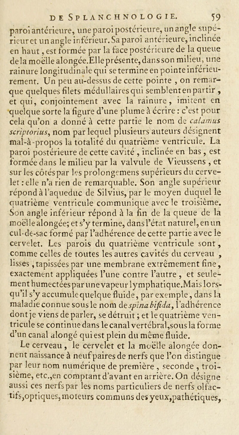 paroi antérieure, une paroi postérieure, unangle supé- rieur et un angle inférieur. Sa paroi antérieure, inclinée en haut, est formée par la face postérieure de la queue de la moelle alongée.Elle présente, dans son milieu, une rainure longitudinale qui se termine en pointe inférieu- rement. Un peu au-dessus de cette pointe , on remar- que quelques filets médullaires qui semblent en partir , et qui, conjointement avec la rainure, imitent en quelque sorte la figure d’une plume à écrire : c’est pour cela qu’on a donné à cette partie le nom de calamus scriptorius, nom par lequel plusieurs auteurs désignent mal-à-propos la totalité du quatrième ventricule. La paroi postérieure de cette cavité , inclinée en bas , est formée dans le milieu par la valvule de Vieussens , et sur les côtés par les prolongemens supérieurs du cerve- let: elle n’a rien de remarquable. Son angle supérieur répond à l’aqueduc de Silvius, par le moyen duquel le quatrième ventricule communique avec le troisième. Son angle inférieur répond à la fin de la queue de la moël!ealongée;et s’y termine, dans l’état naturel, en un cul-de-sac formé par l’adhérence de cette partie avec le cervelet. Les parois du quatrième ventricule sont, comme celles de toutes les autres cavités du cerveau , lisses,tapissées par une membrane extrêmement fine, exactement appliquées l’une contre l’autre , et seule- ment humectées par une vapeur lymphatique.Mais lors- qu’il s’y accumule quelque fluide, par exemple, dans la maladie connue sous le nom despinabifîda, l’adhérence dont je viens de parler, se détruit ; et le quatrième ven- tricule se continue dans le canal vertébral,sous la forme d’un canal alongé qui est plein du même fluide. Le cerveau, le cervelet et la moelle alongée don- nent naissance à neuf paires de nerfs que l’on distingue par leur nom numérique de première , seconde , troi- sième, etc.,en comptant d’avant en arrière. On désigne aussi ces nerfs par les noms particuliers de nerfs olfac- tirs,optiques, moteurs communs des yeux,pathétiques,